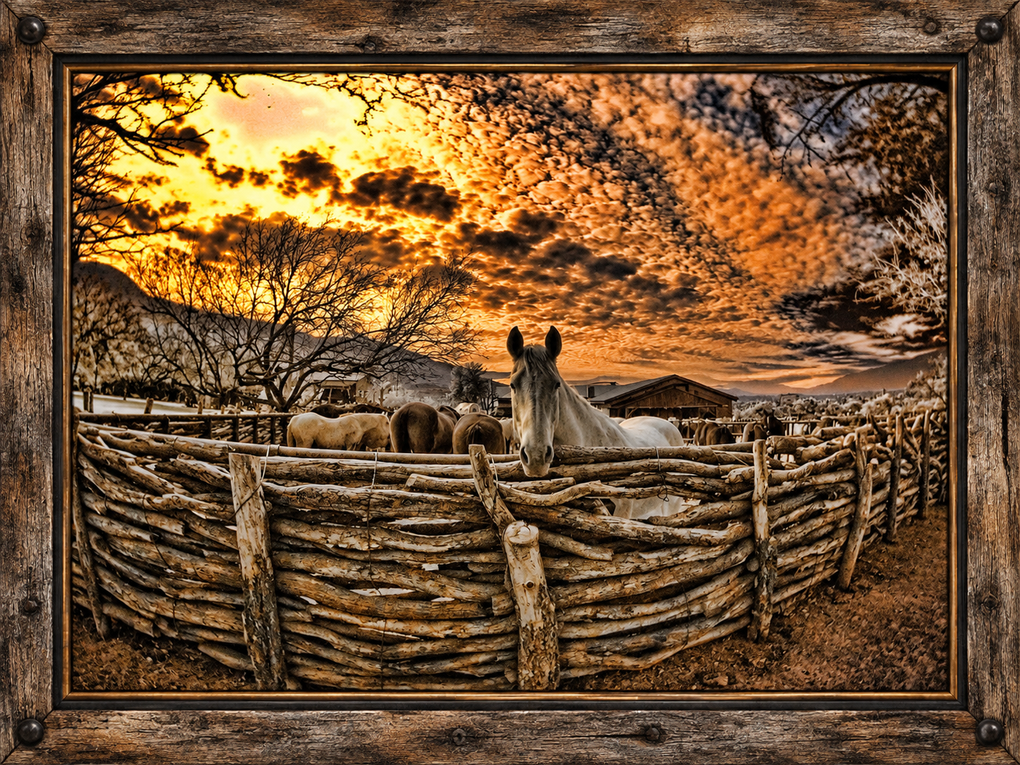 Rustic Ranch Horses at Golden Sunset.png
