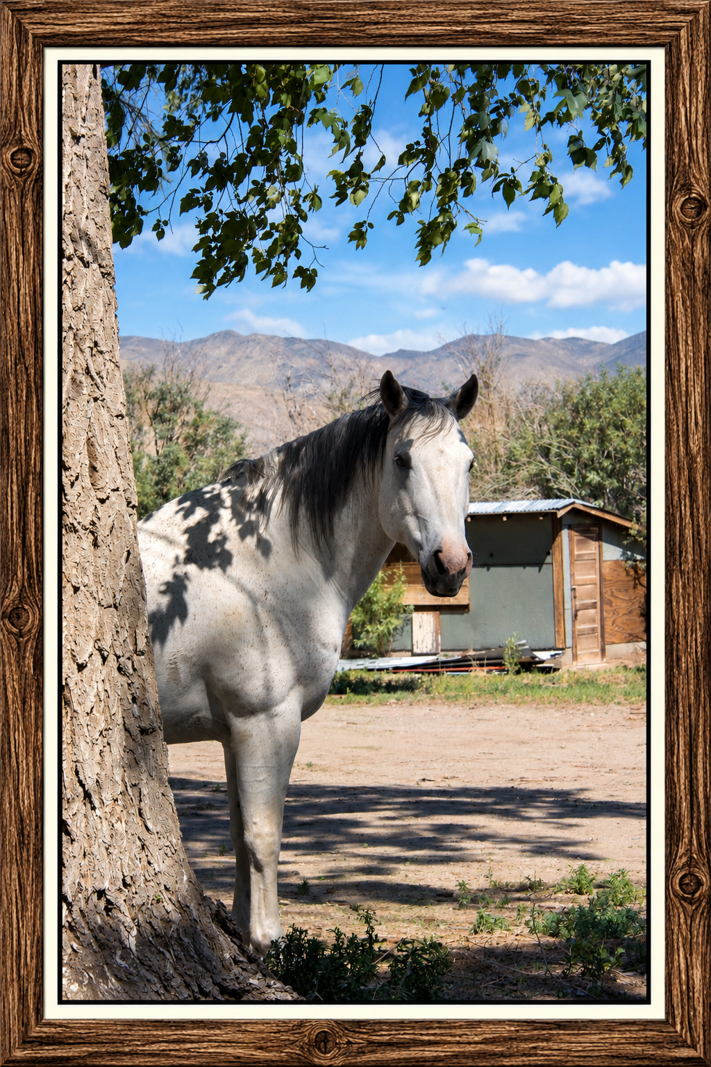 Framed Horse Portrait at the Ranch.png