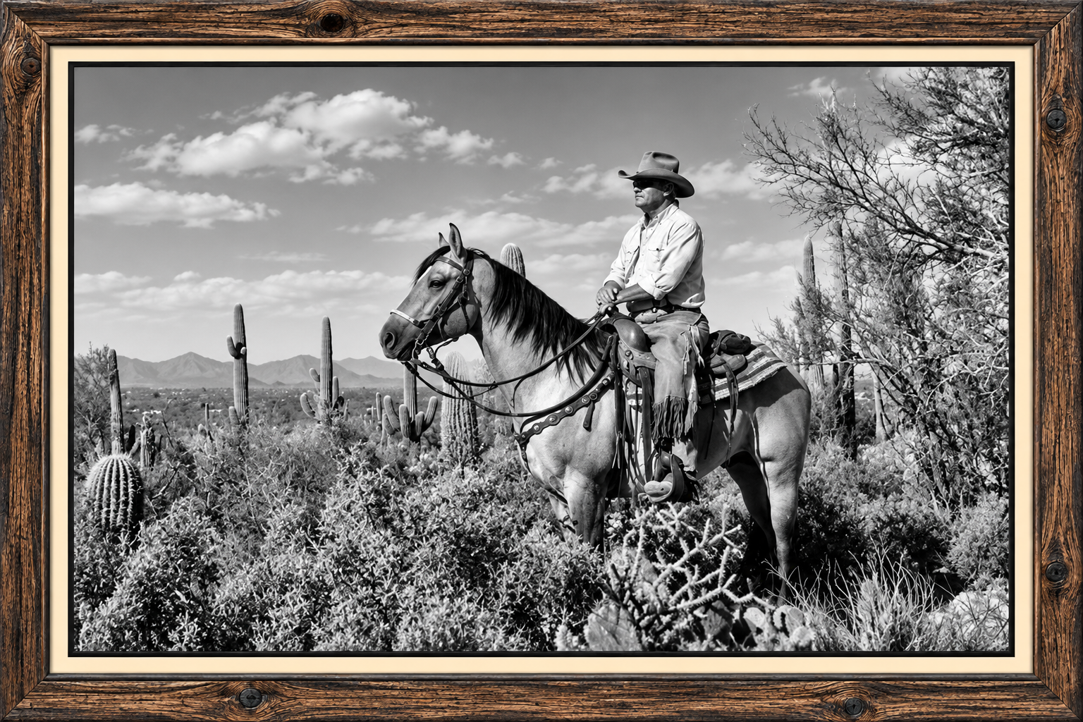 Framed Cowboy in the Desert.png