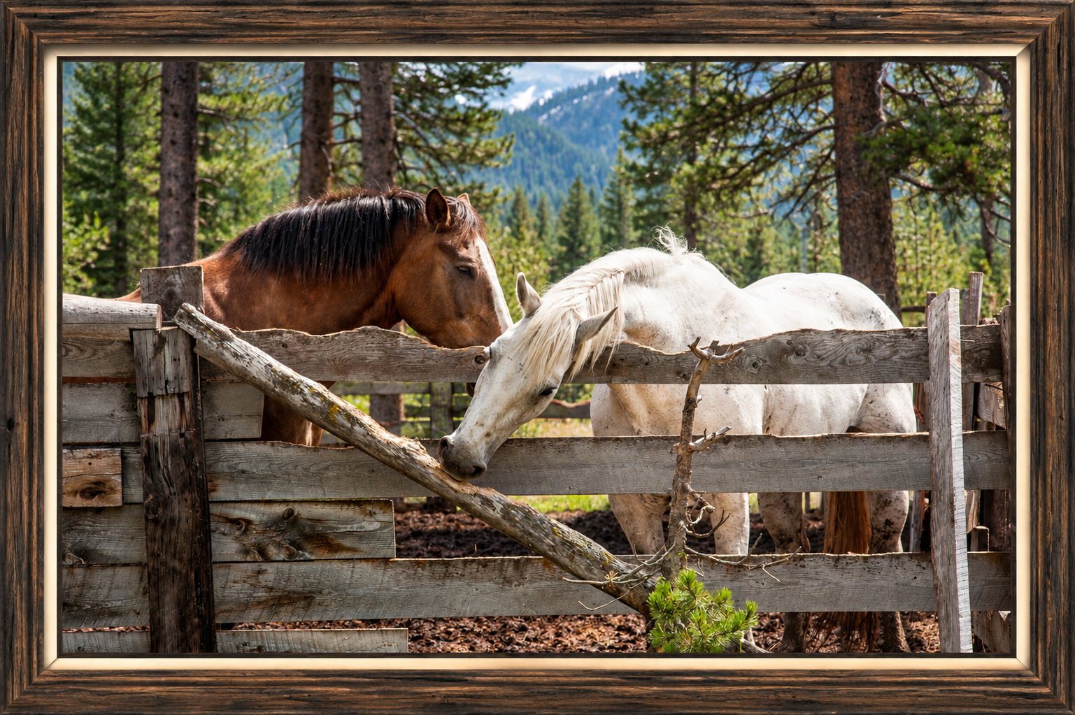Tender Horses at the Mountain Fence.png
