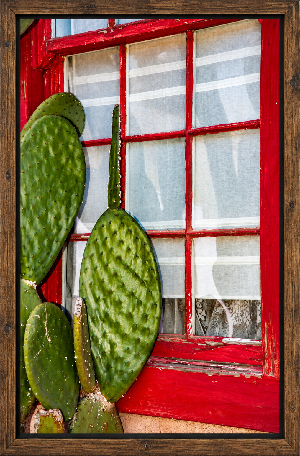 Rustic Red Window and Prickly Pear.png