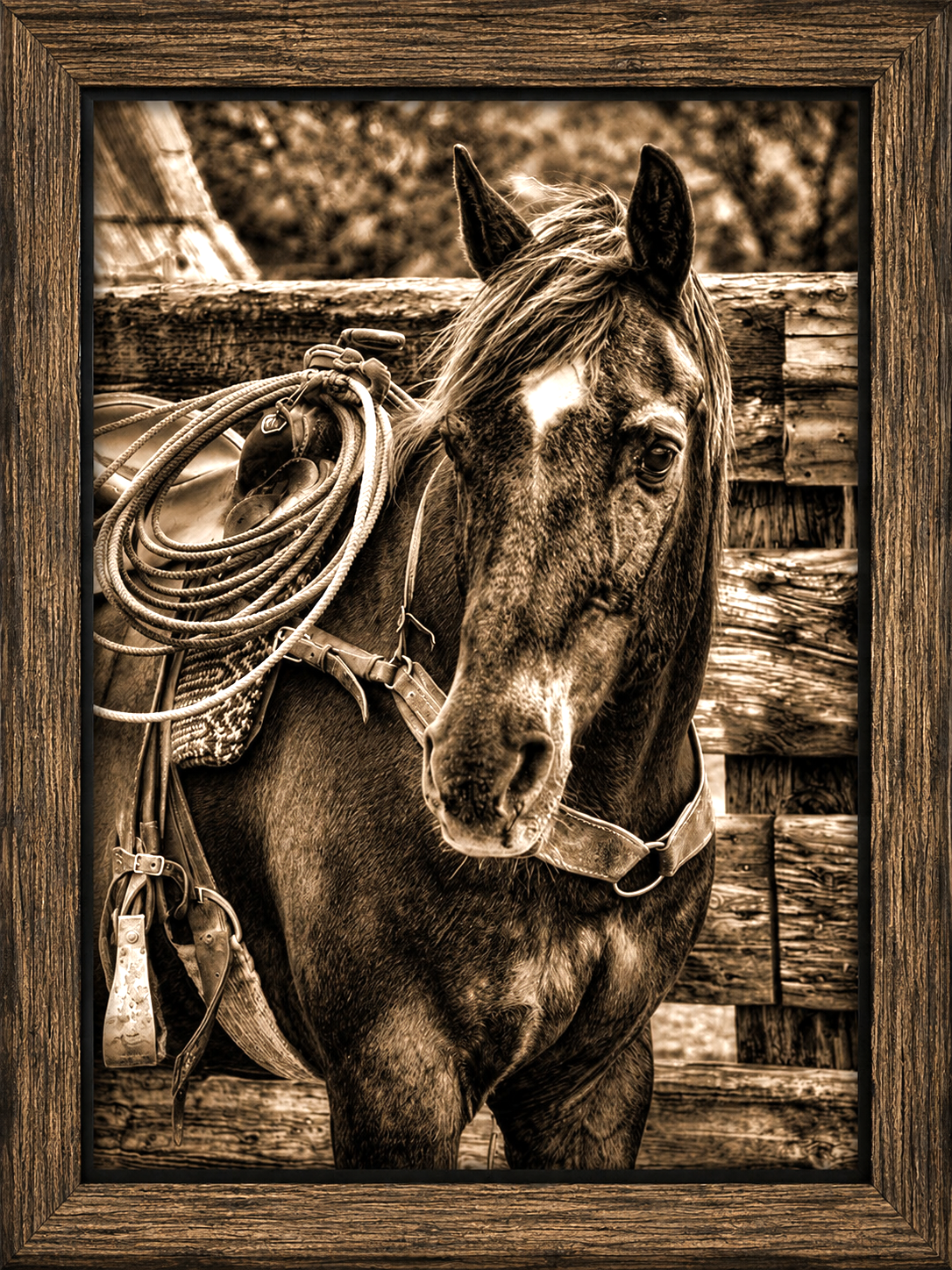 Rustic Sepia Horse Portrait.png