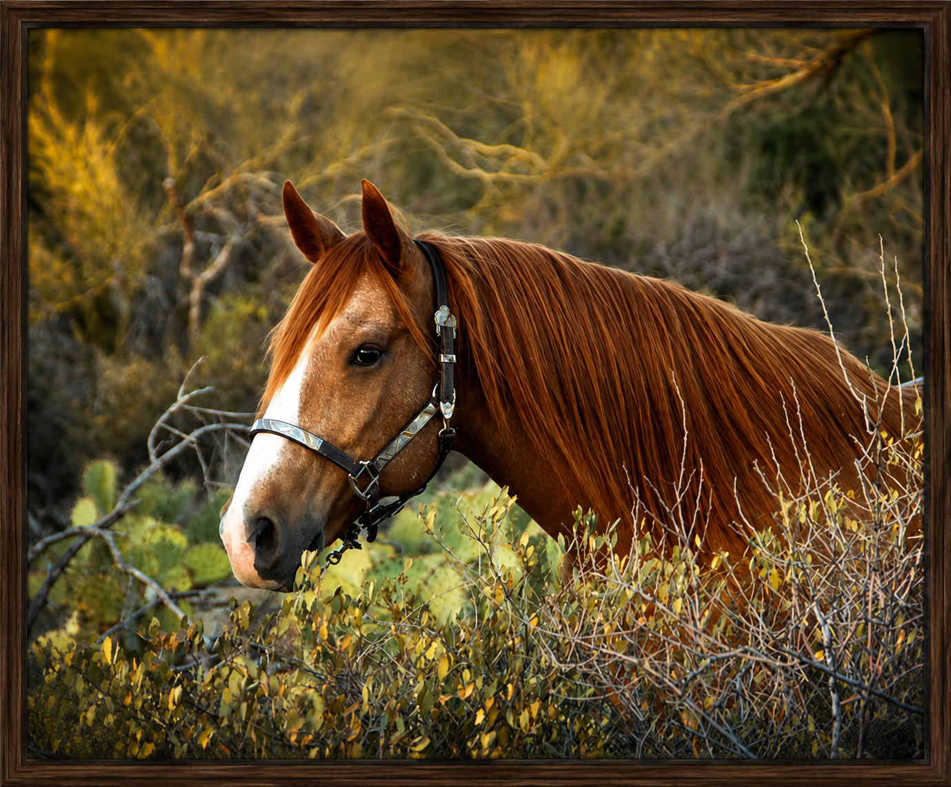 beauty horse.png