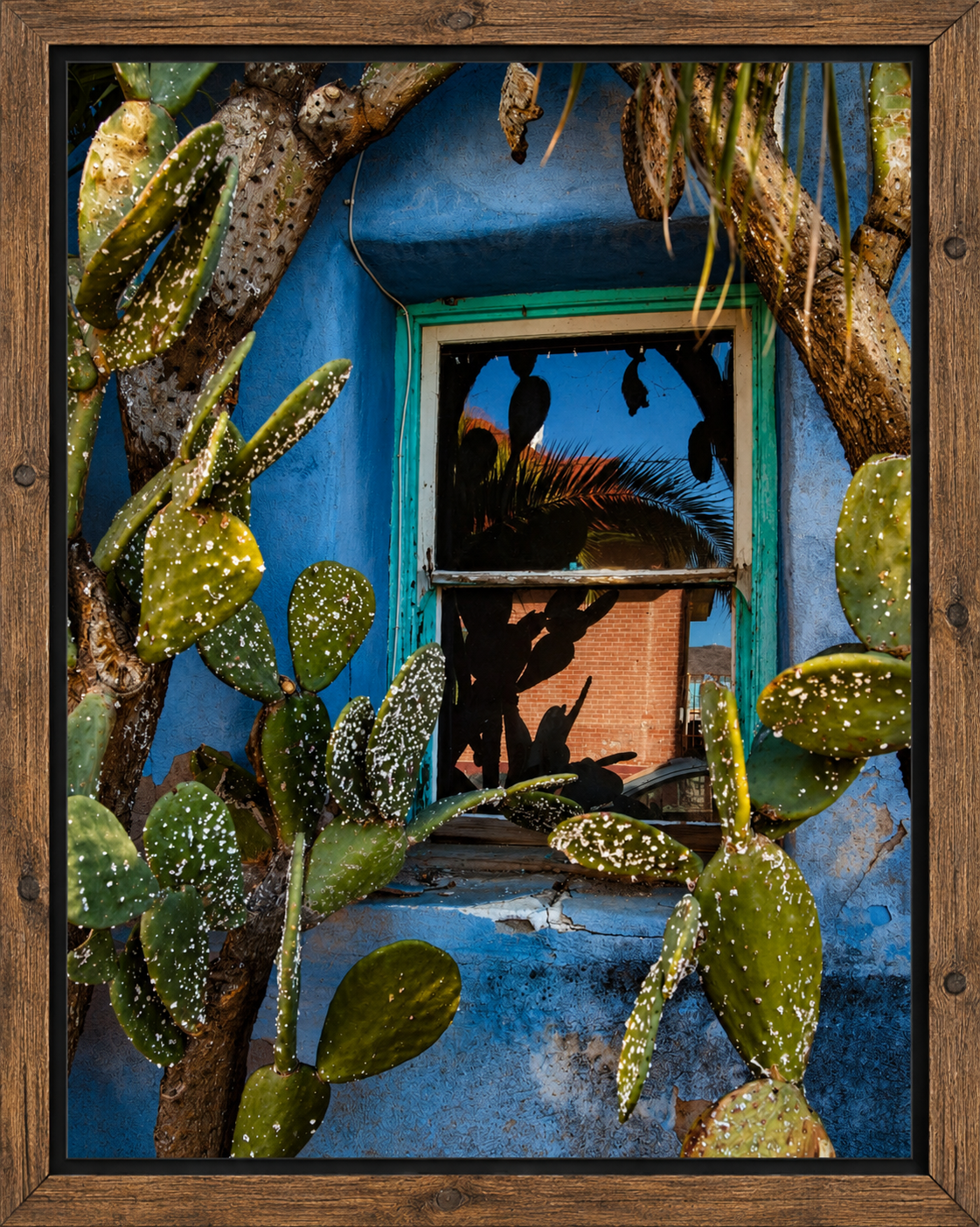 Rustic Cactus Window Reflection.png