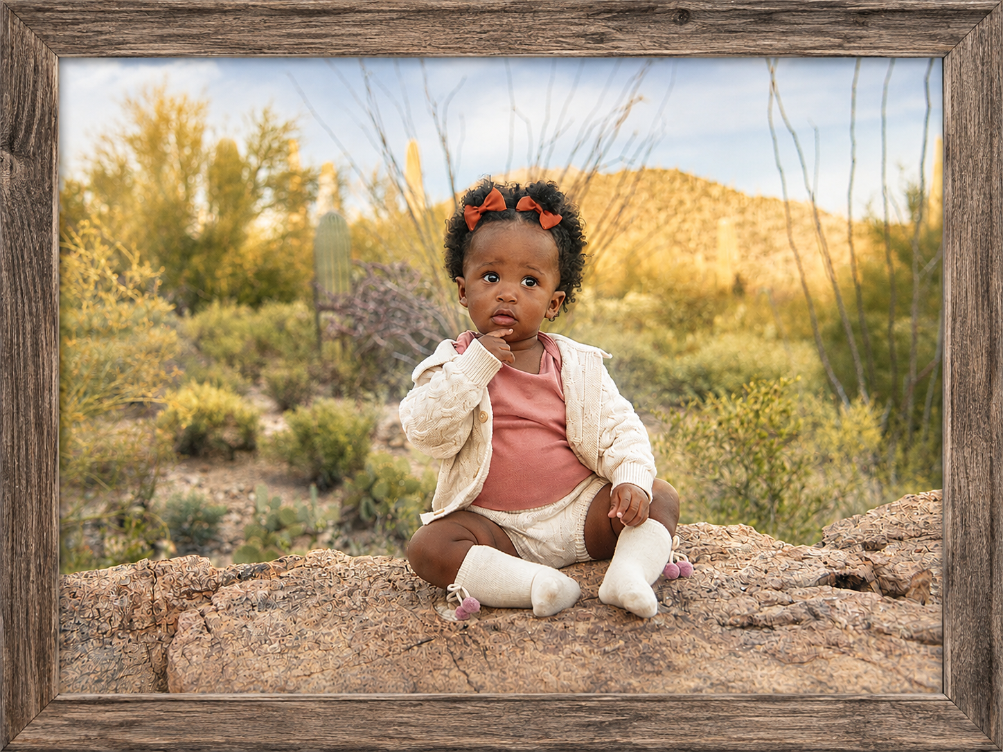 Desert Daydreams in a Rustic Frame.png