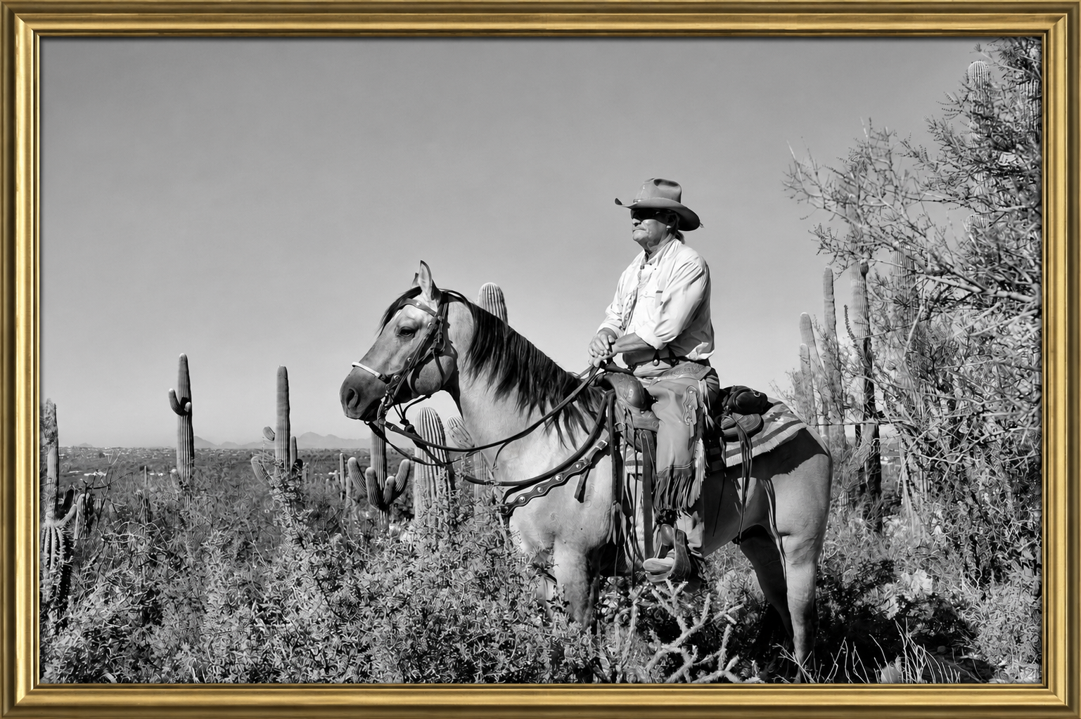 Monochrome Cowboy in Saguaro Country.png