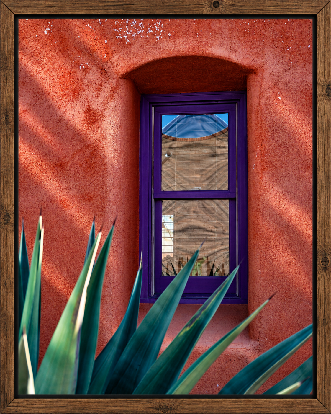 Framed Adobe Window with Agave.png