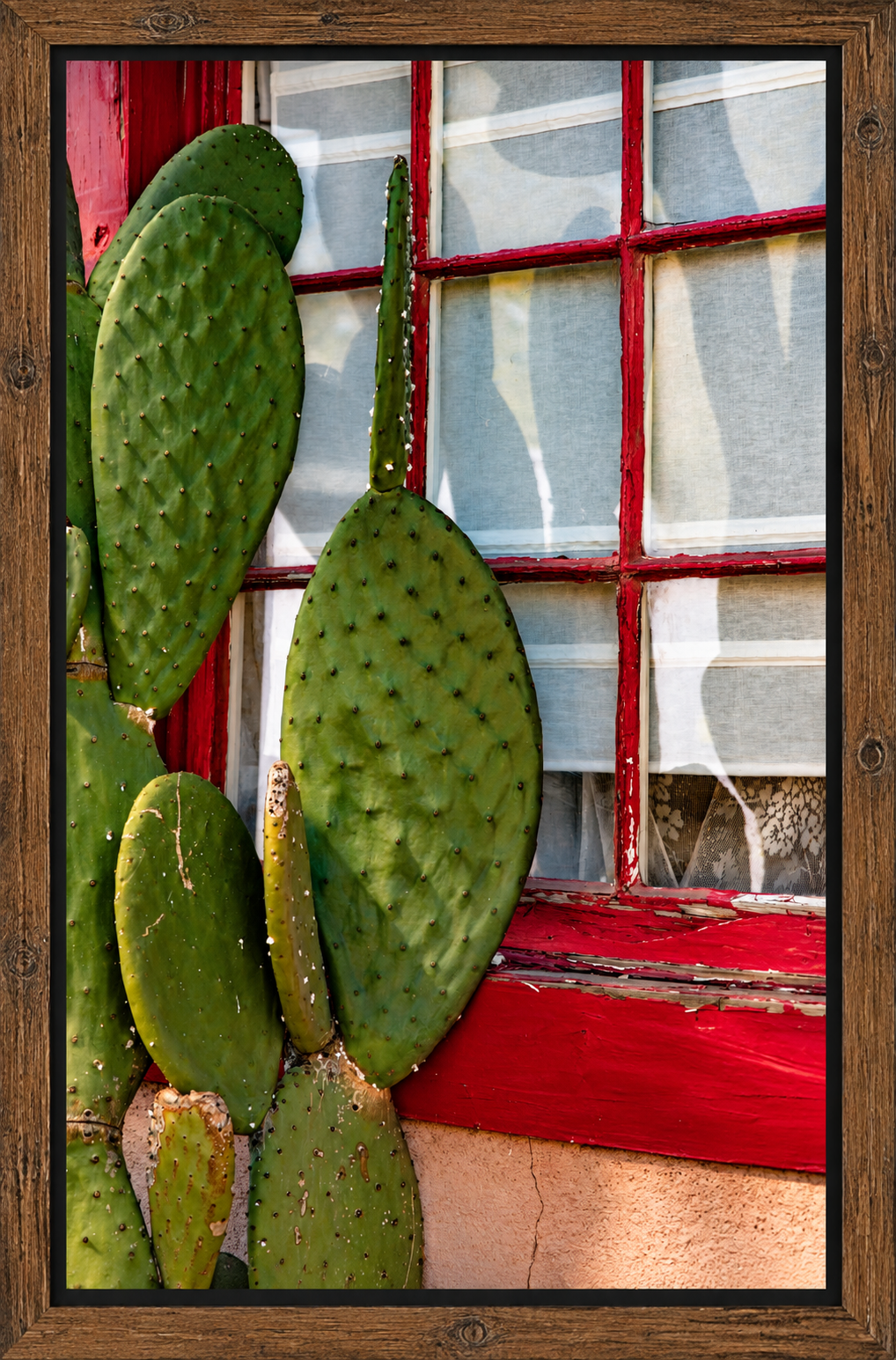 Sunlit Cactus by a Rustic Window.png
