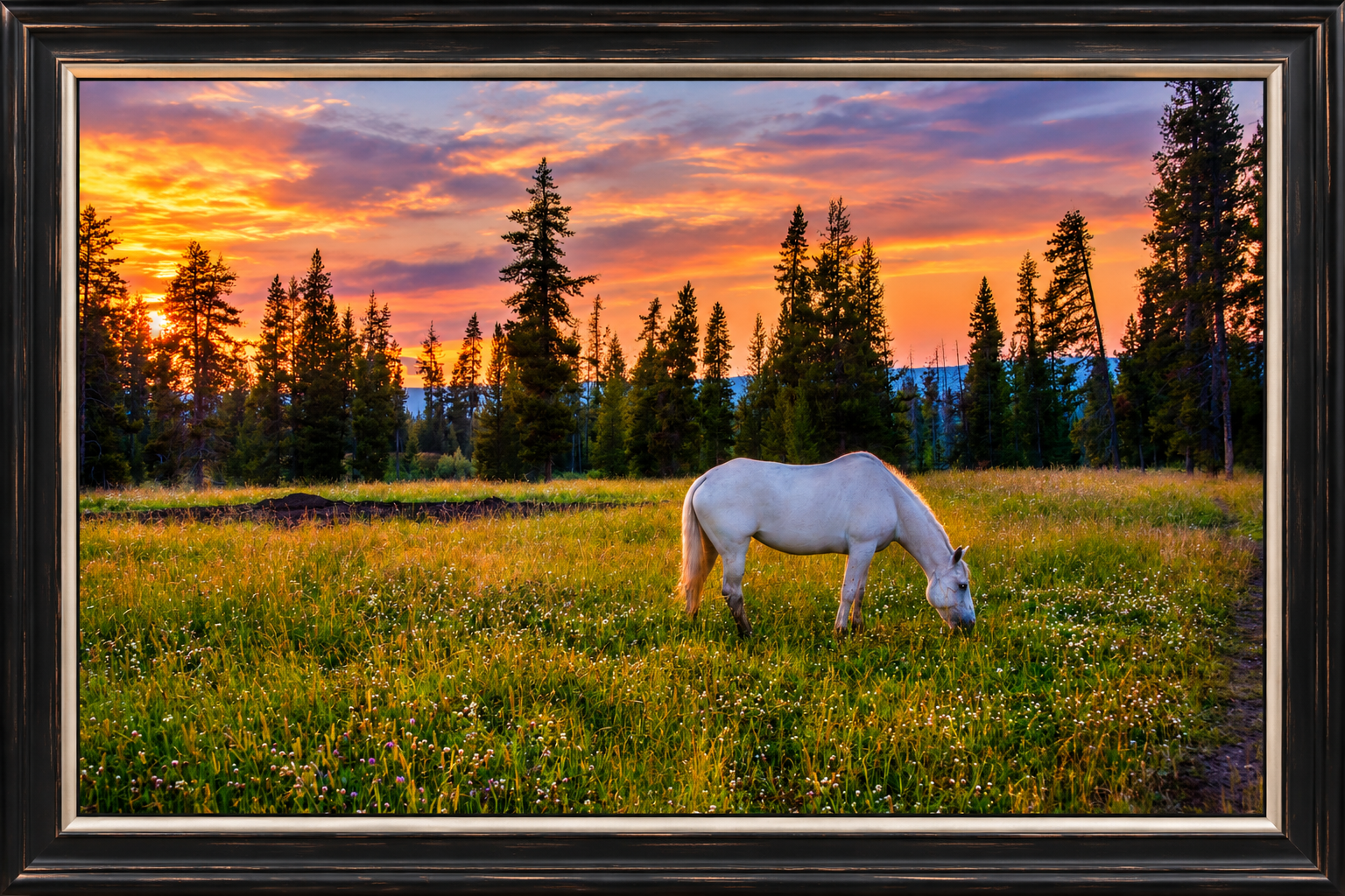 Framed Sunset Meadow with Grazing Horse.png