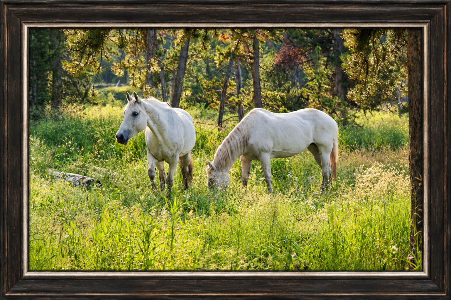 Framed Sunlit Meadow Horses.png