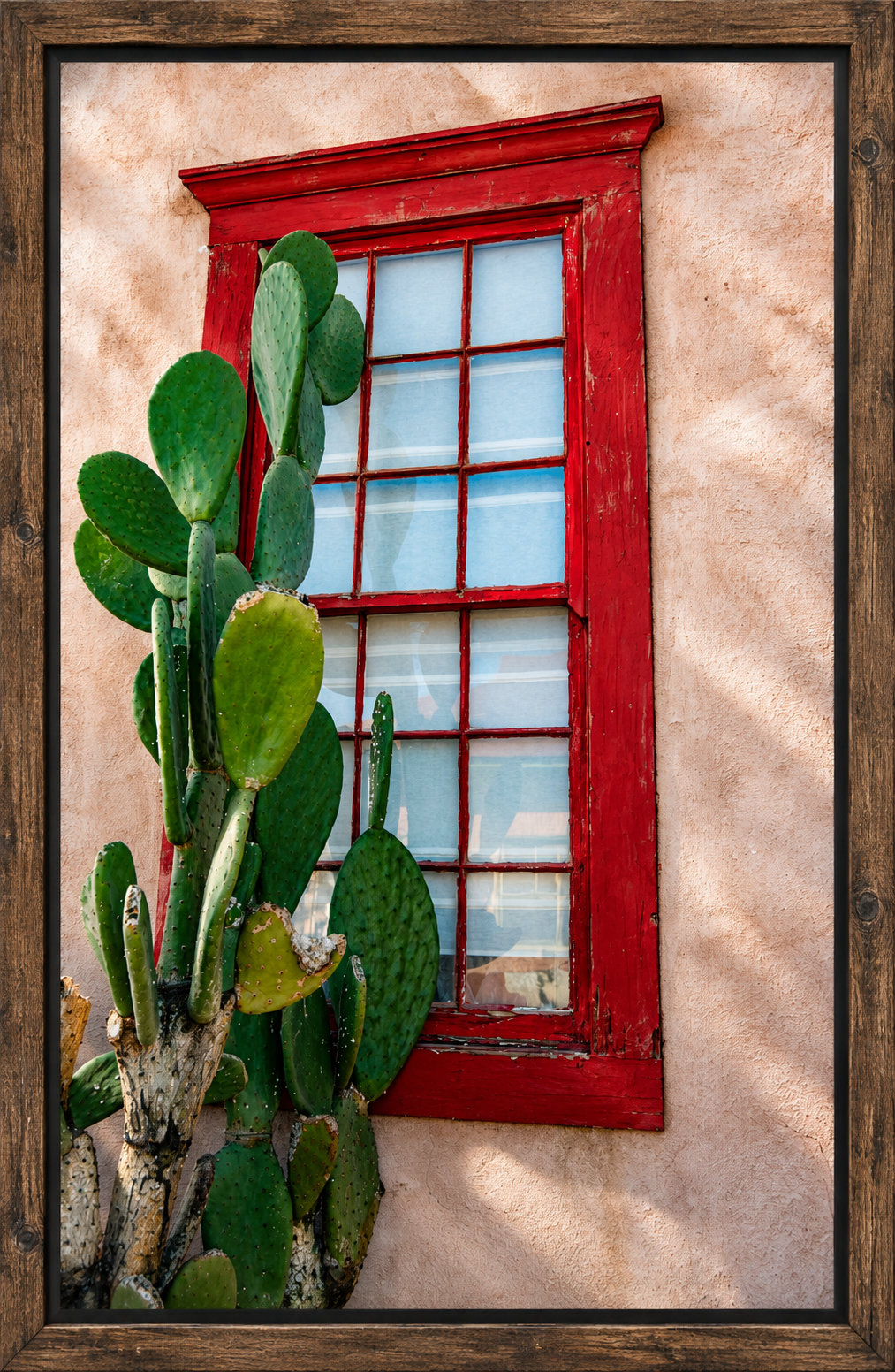 Framed Red Window and Prickly Pear.png