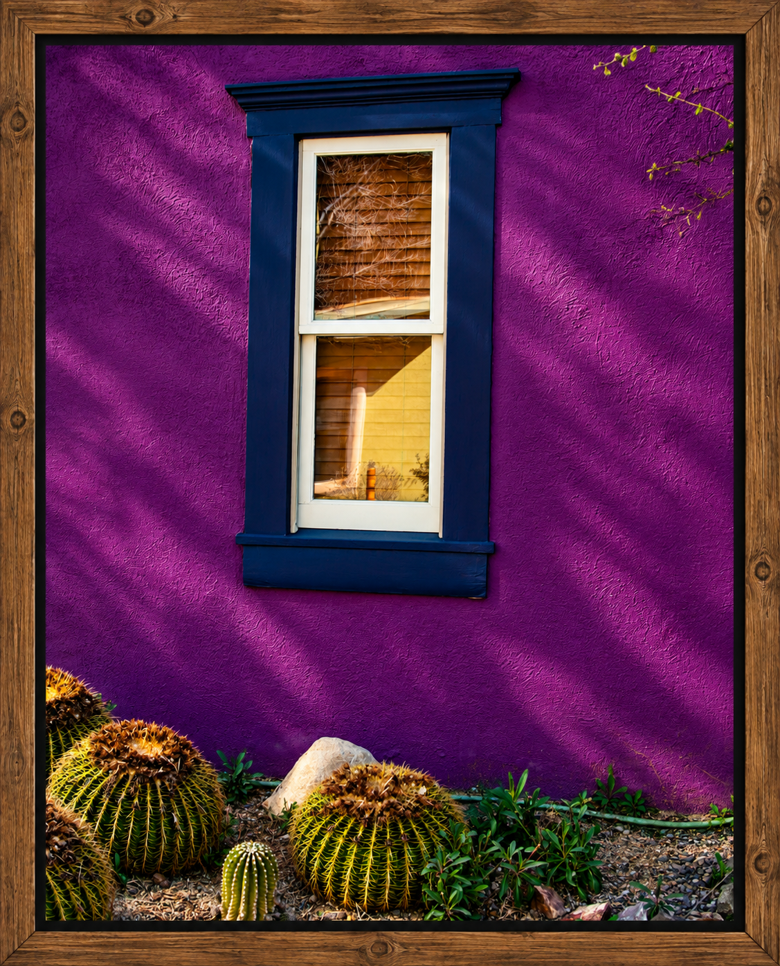 Framed Purple Wall and Cacti.png
