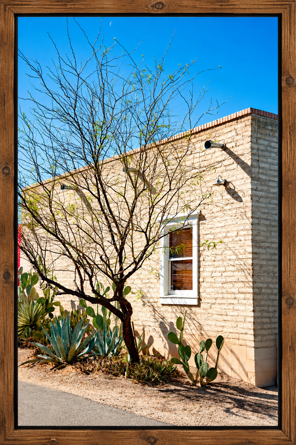 Framed Southwestern Desert Architecture.png