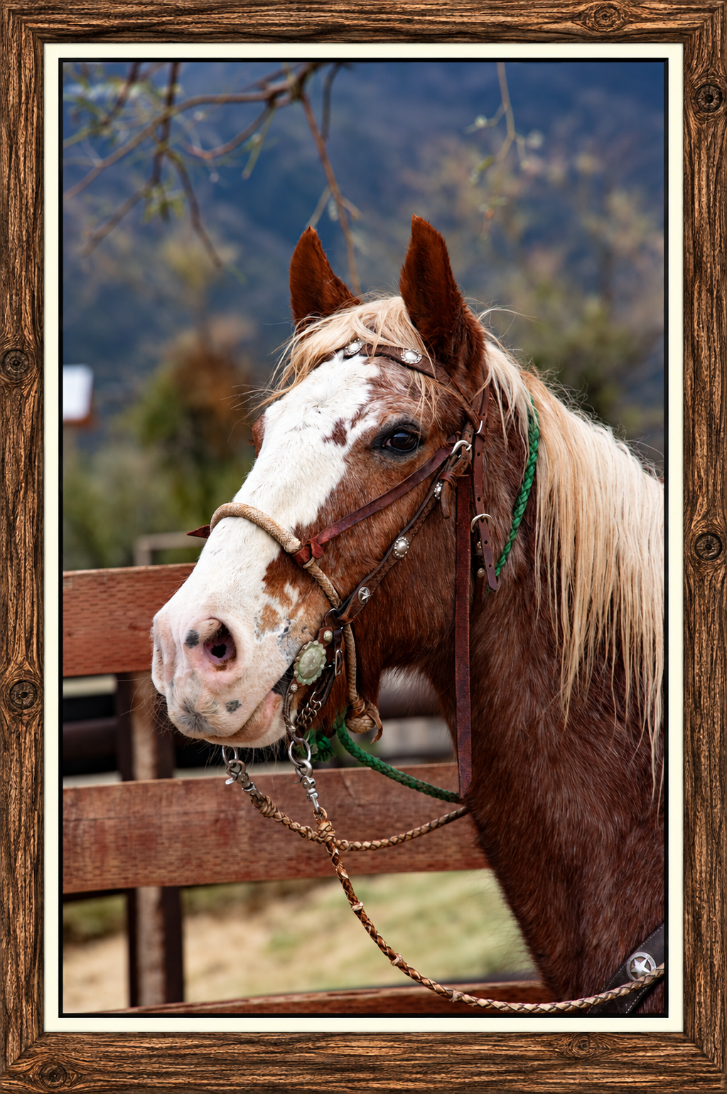 Framed Rustic Paint Horse Portrait.png