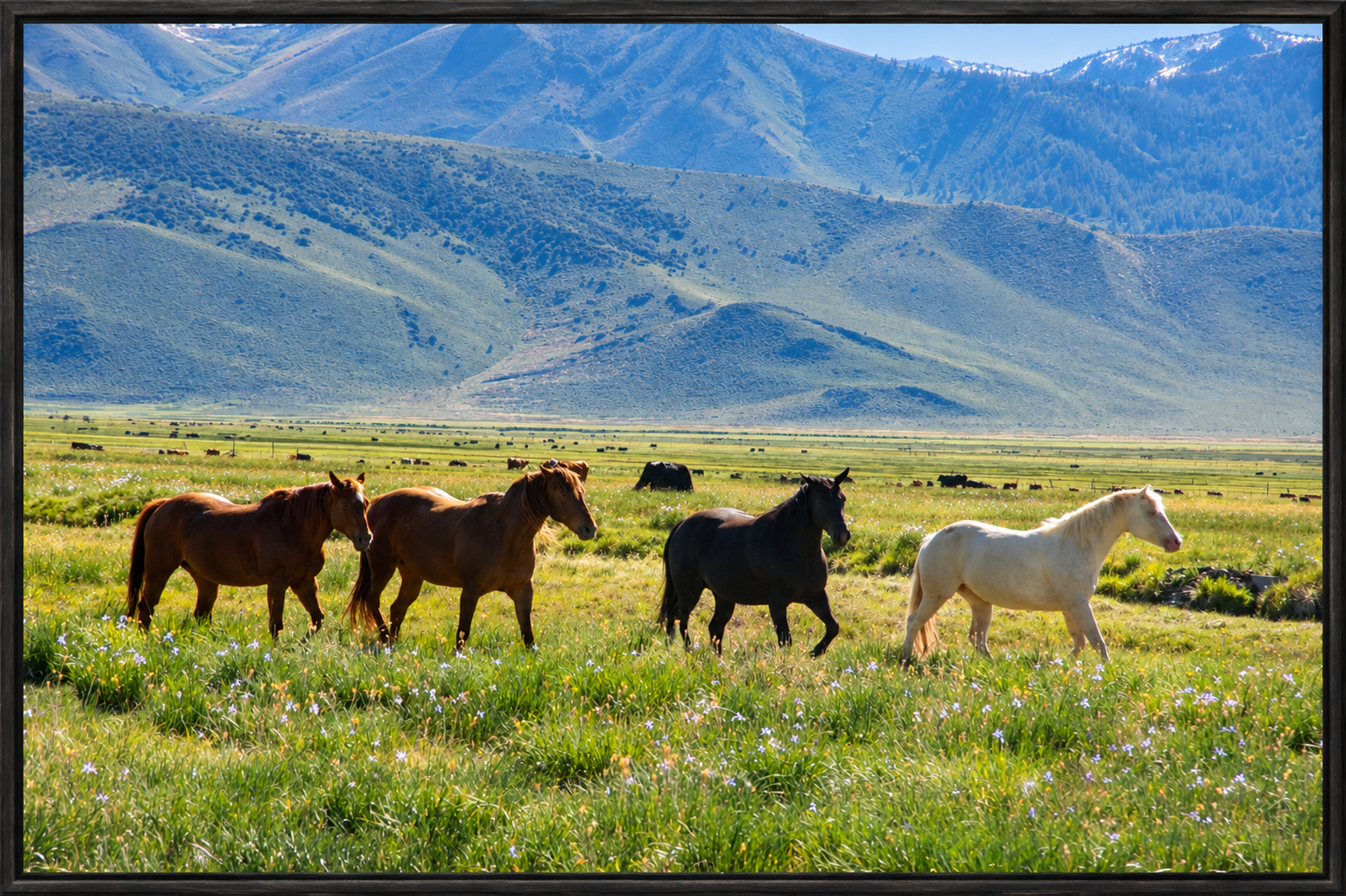 Framed Meadow Horses and Mountains.png