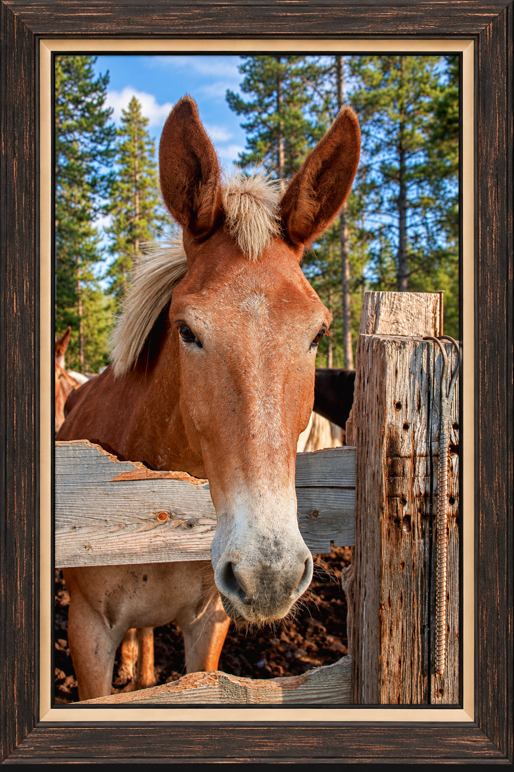 Rustic Framed Horse Portrait.png