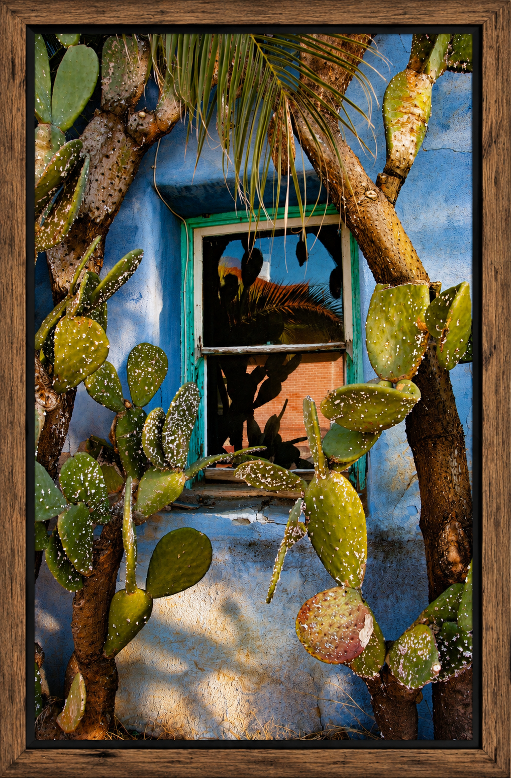 Framed Cactus Window in Sunlight.png