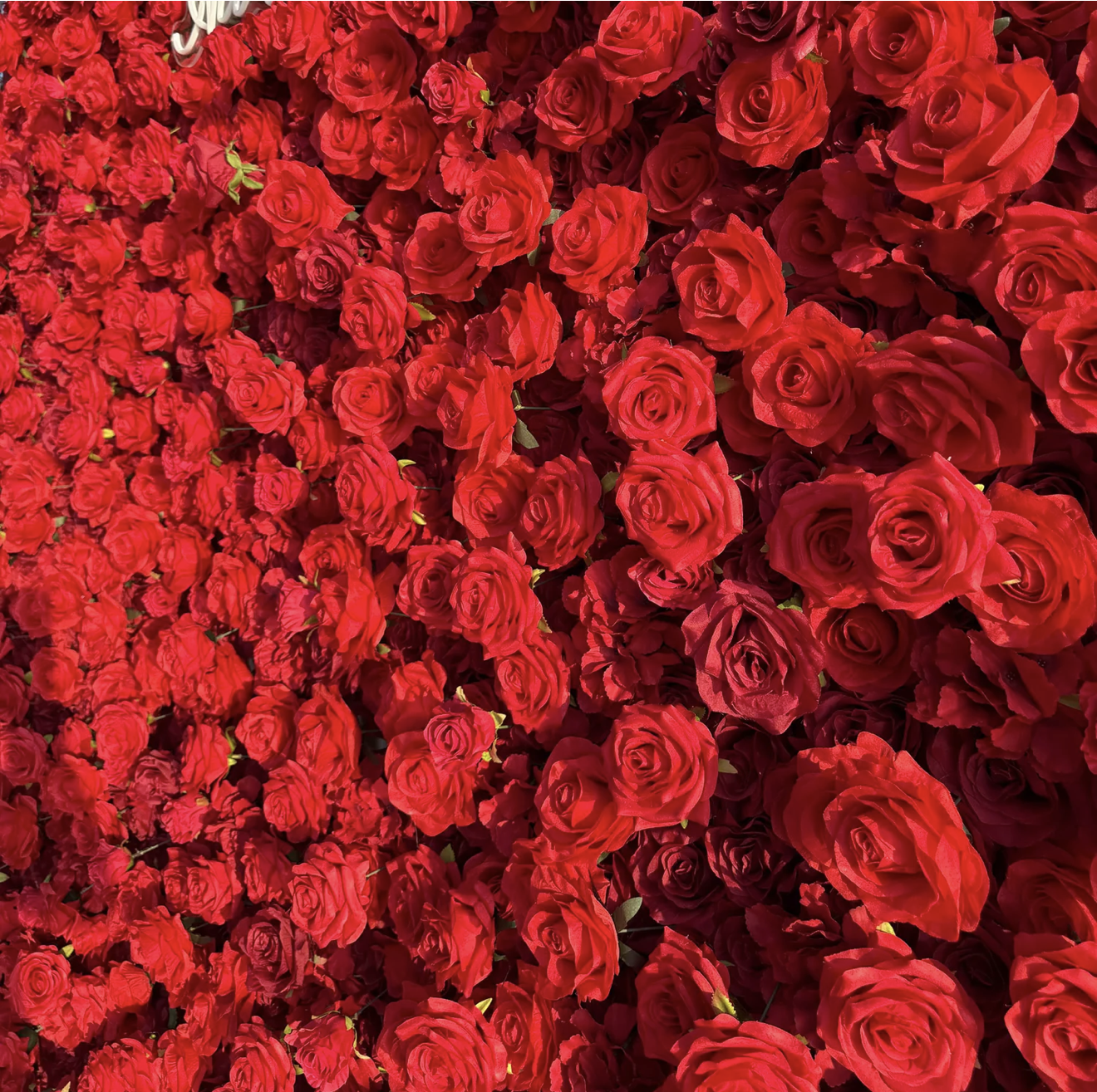 Coming Soon — The House Rouge