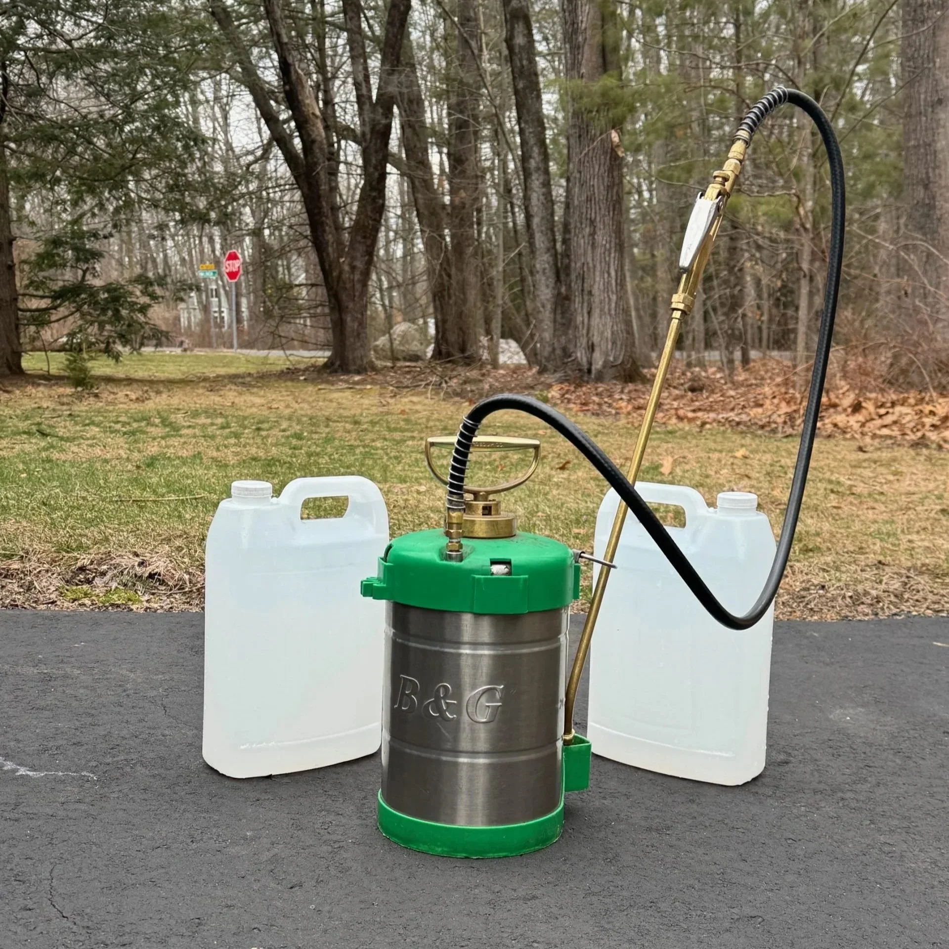 Farmington Valley Spring Ant Series: Professional Ant Control Solutions This Spring
