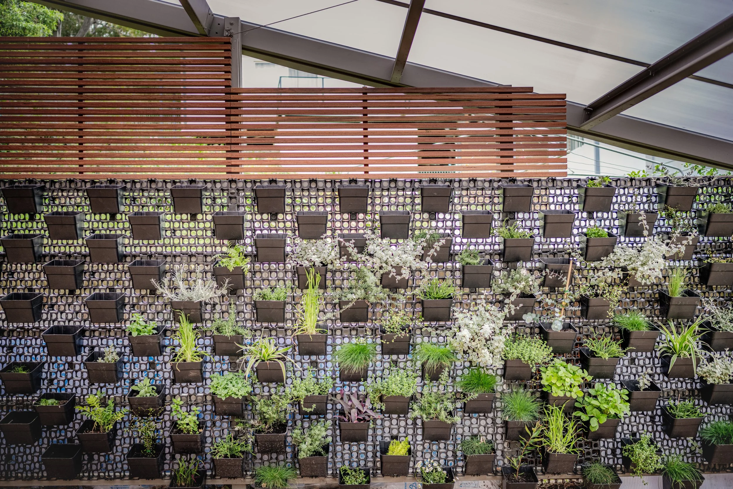 Vertical garden with multiple rows of small black pots filled with various green plants, against a decorative black grid panel. Wooden slats and a roof structure are visible in the background.