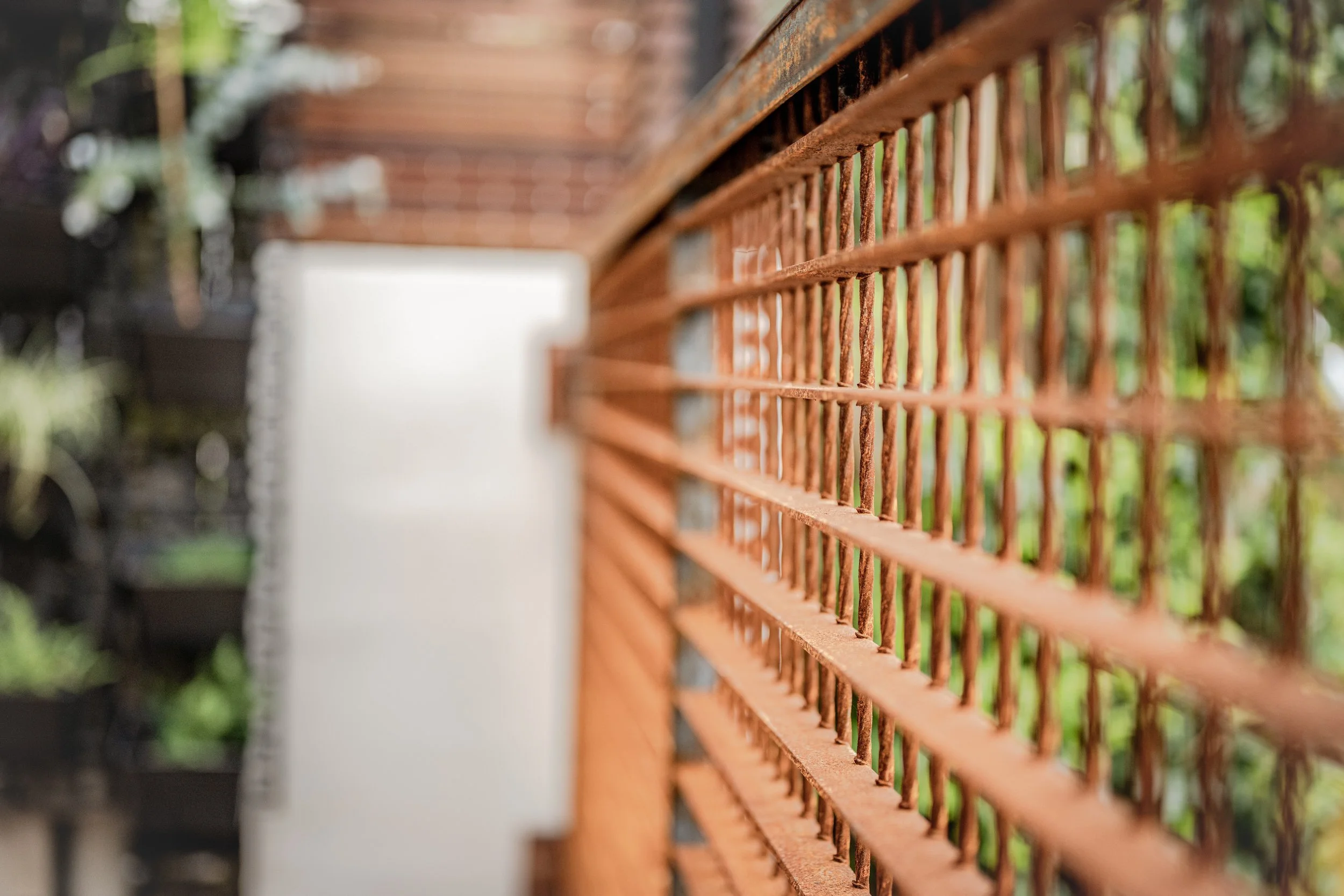 Raw steel gate with a grid pattern, left to weather naturally, beside the garden.