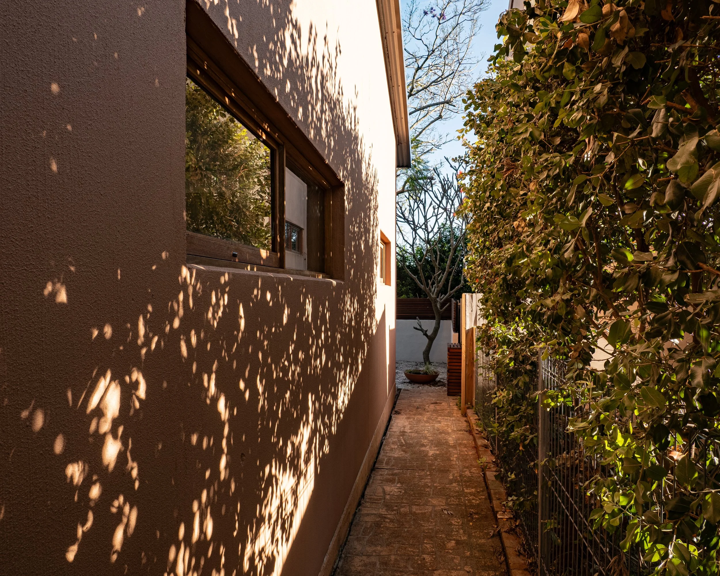 Side yard with brick pathway, a beige stucco house with a window, sunlight creating dappled shadows, and a tall hedge on the right side with trees in the background.