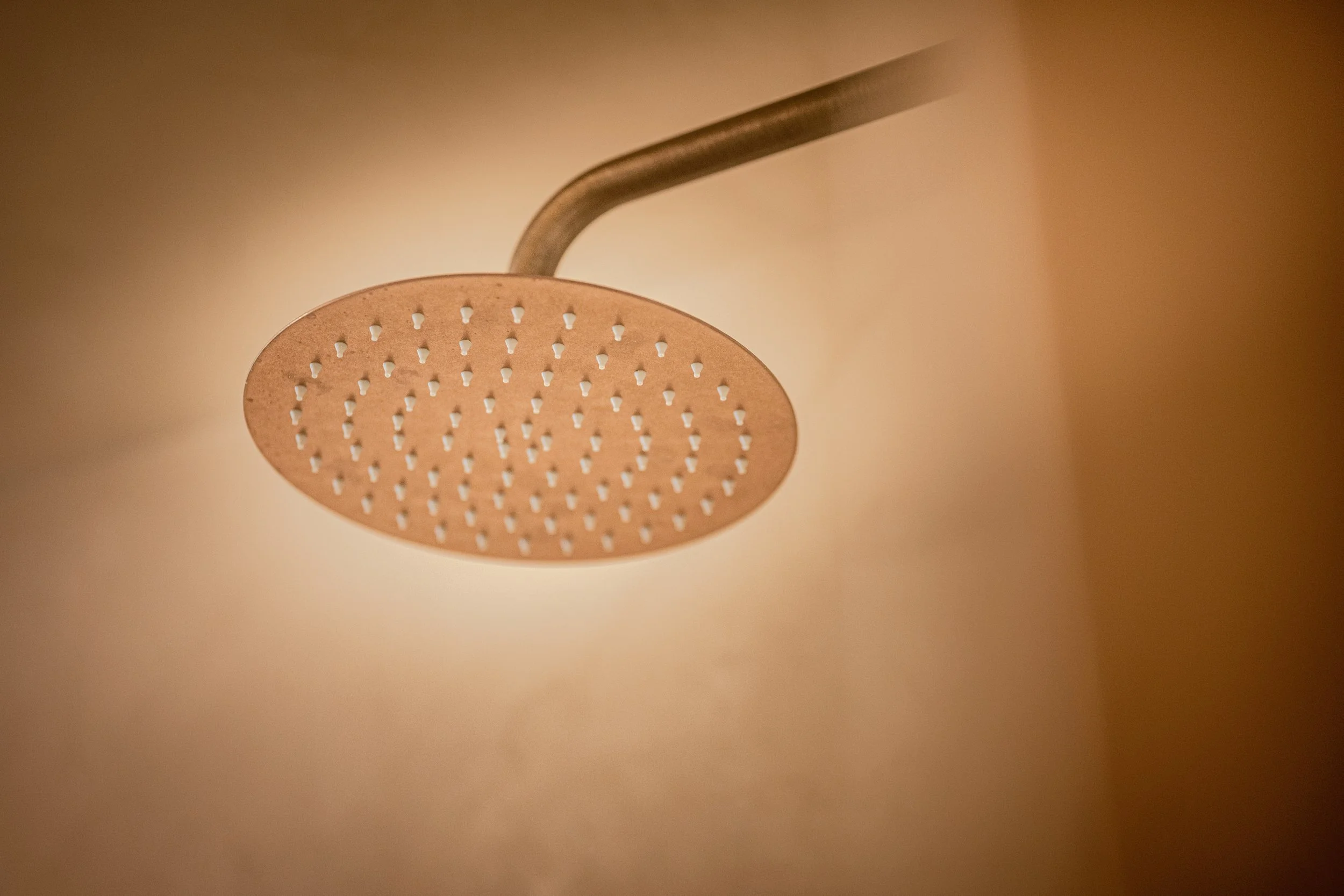 Close-up of a round, beige showerhead with small, evenly spaced nozzles, against a neutral wall background.