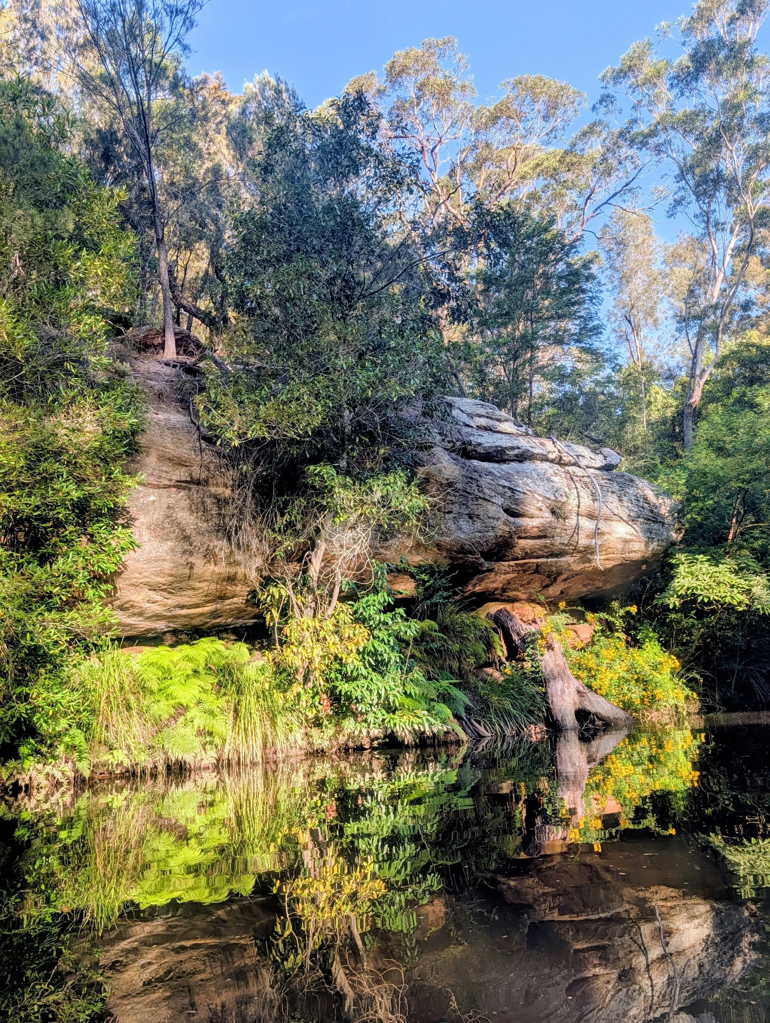 A scenic view of trees and rock formations next to a body of water, reflecting the surrounding landscape, under a clear blue sky.