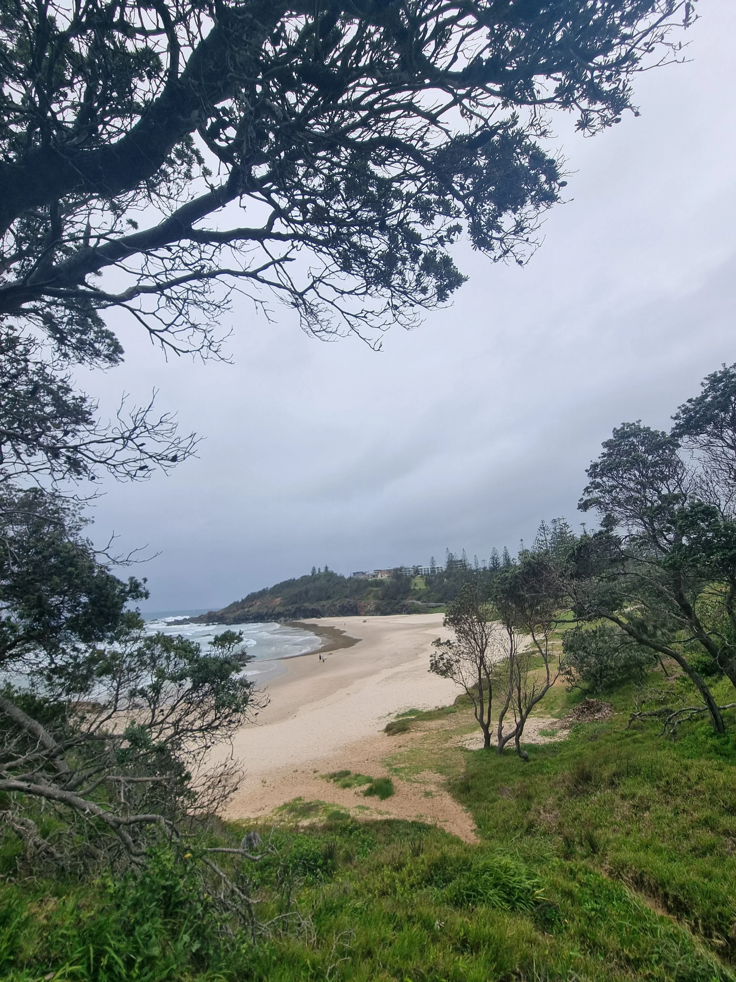 A scenic view of a beach with white sand and ocean waves, framed by green trees and shrubs, under an overcast sky with gray clouds.