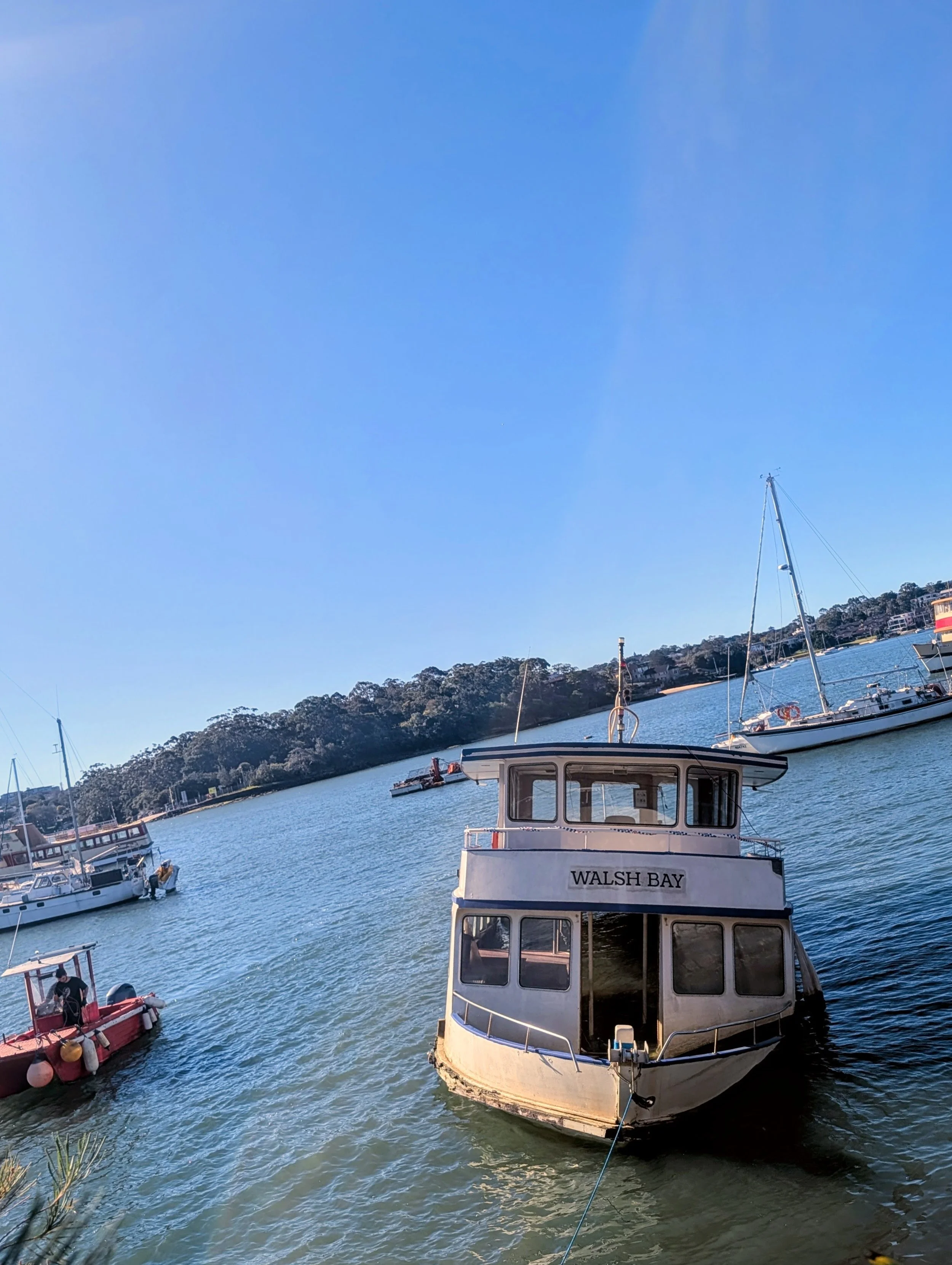 A boat named 'Walsh Bay' docked at a marina, with sailboats in the water and a hillside with trees and buildings in the background, under a clear blue sky.