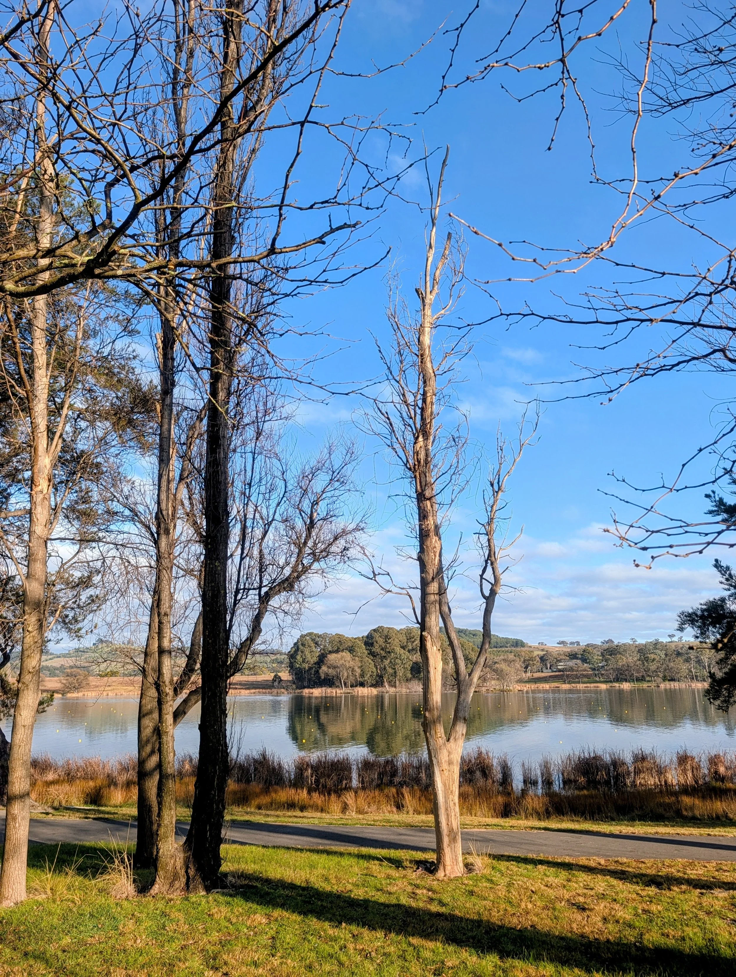 A lakeside scene with leafless trees in the foreground, calm water reflecting the sky, and grassy banks with a walking path. Hills are visible in the distance under a blue sky with some clouds.
