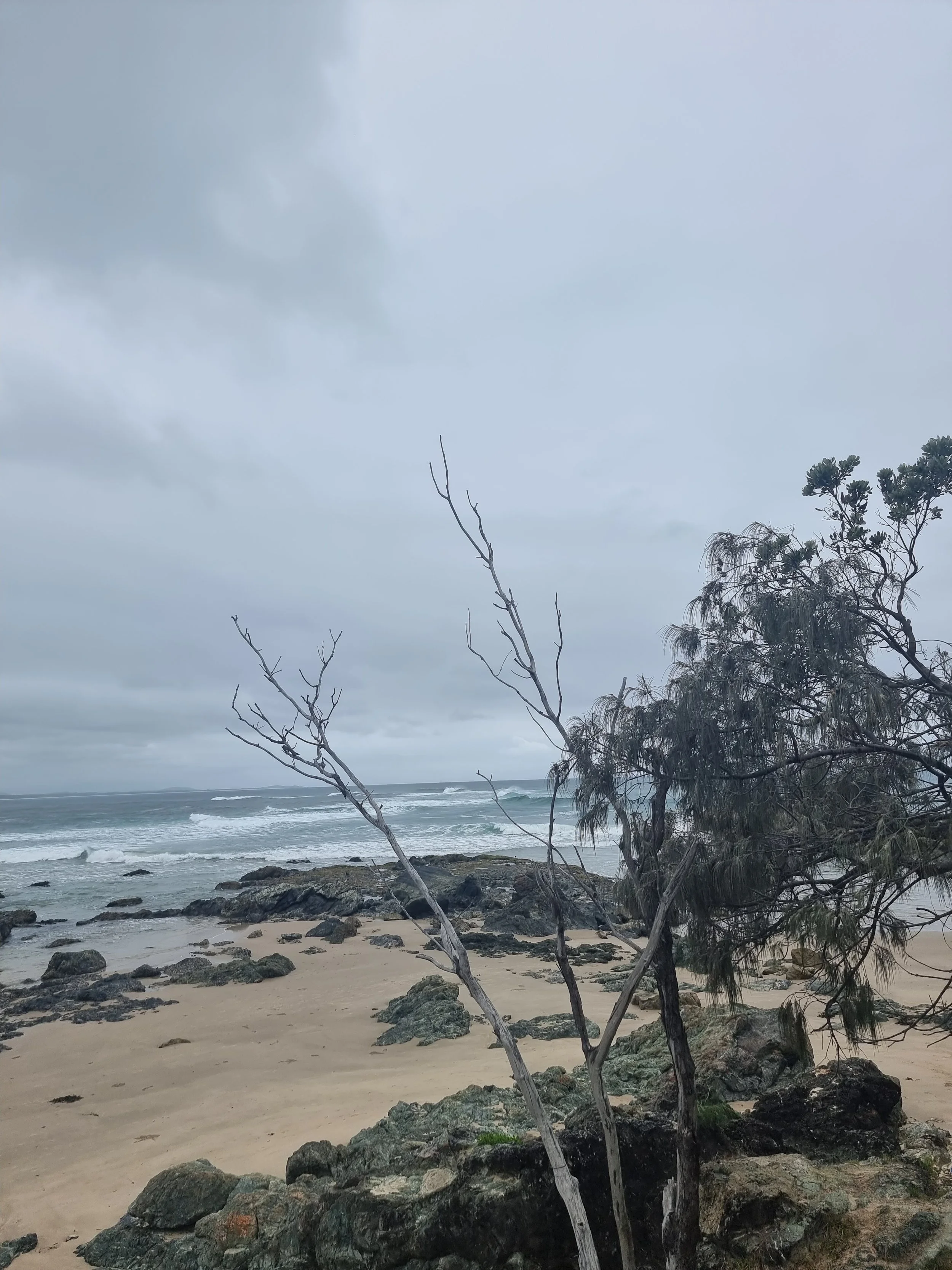 Overcast day at the beach with rocks on the sandy shore, sparse trees, and ocean waves in the background.