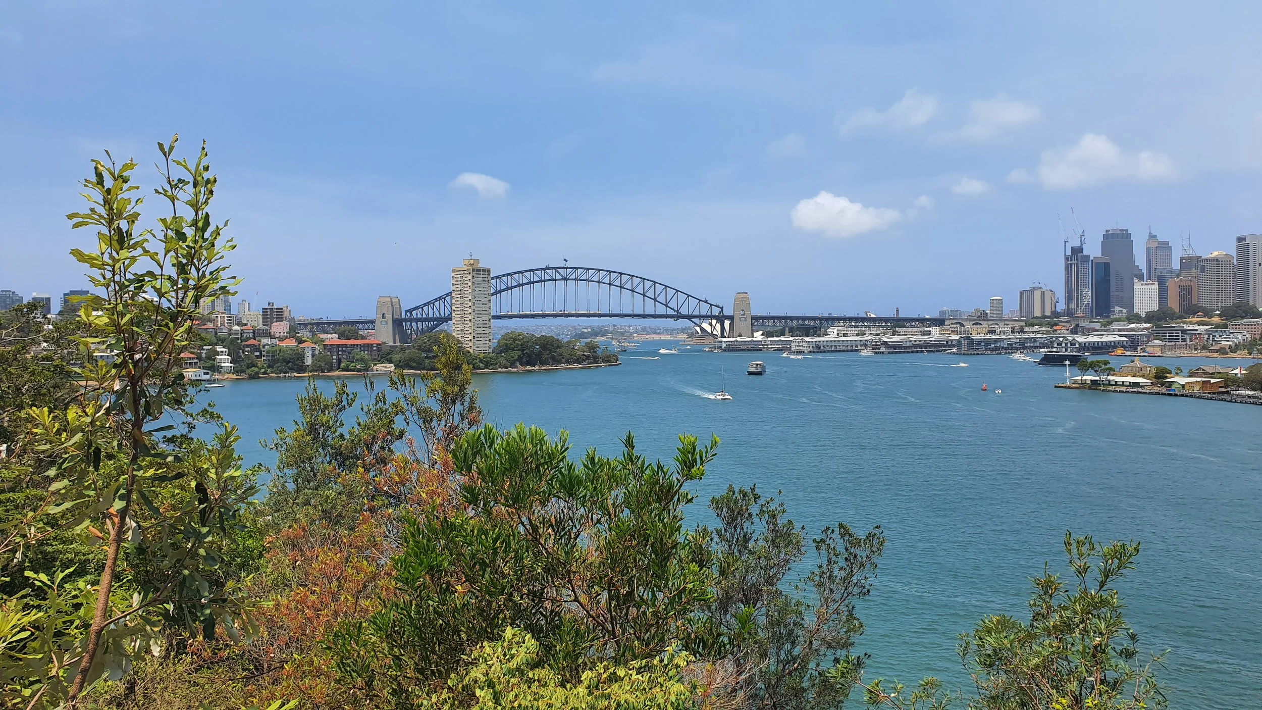 The image shows the Sydney Harbour Bridge in Sydney, Australia, with boats on the water, and city skyscrapers in the background. Green foliage is in the foreground.