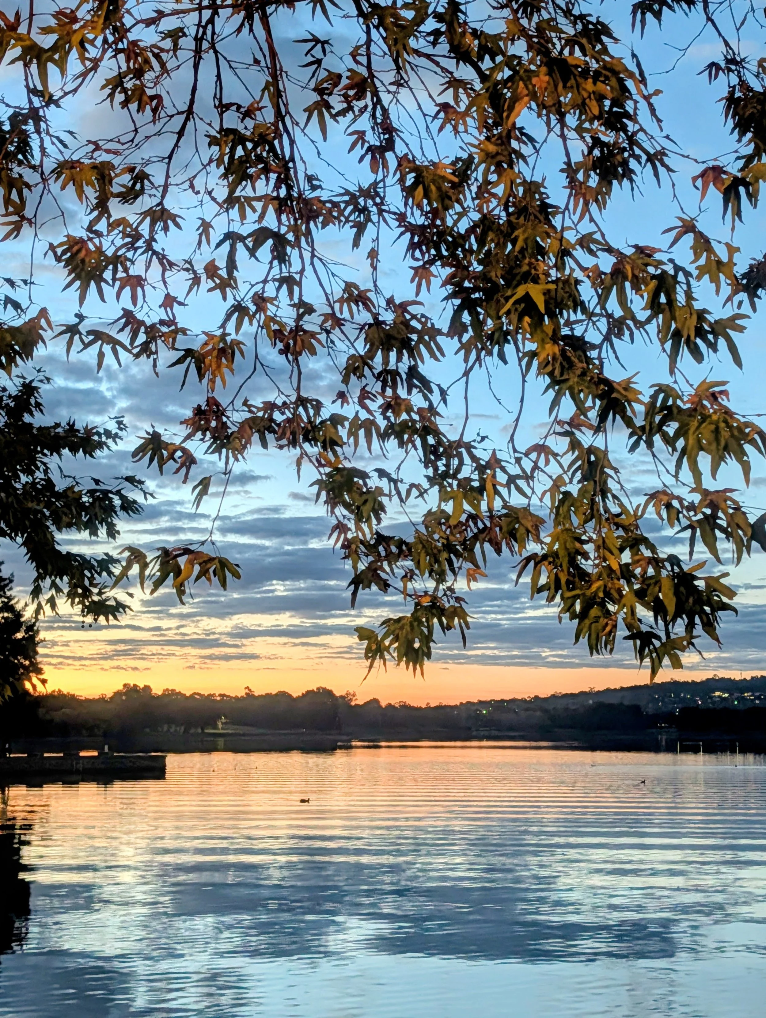 Sunset over a body of water with trees and a partially cloudy sky.