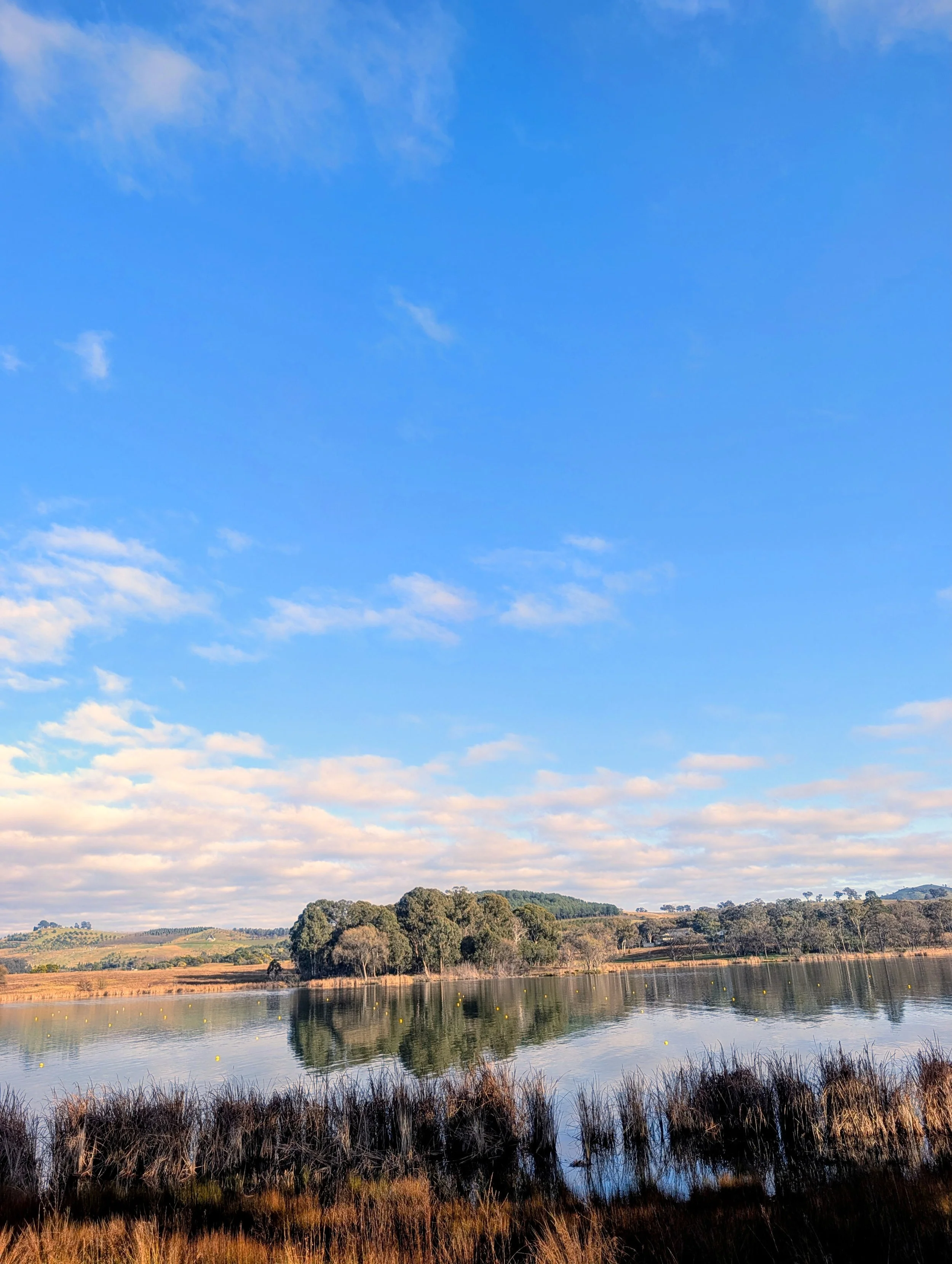 A landscape scene with a lake, trees, and hills in the background under a partly cloudy sky.