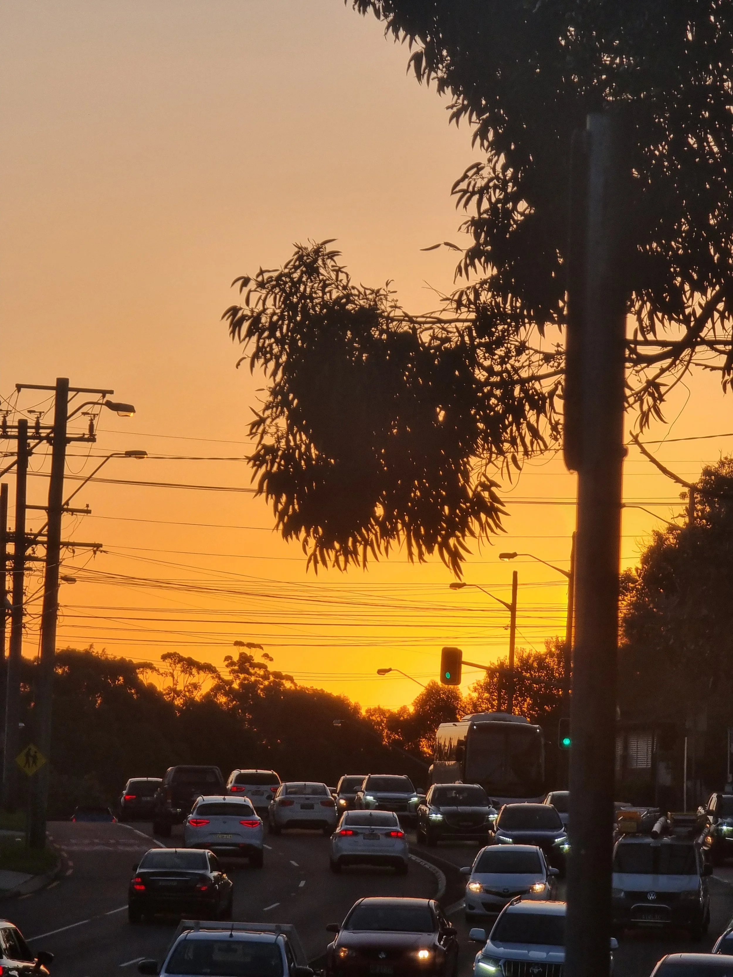 A parking lot filled with cars during a sunset, with trees and utility poles in the background.