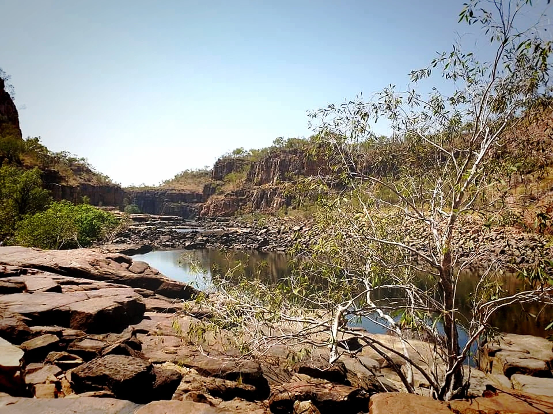 Rocks and a small tree by a river in a canyon with cliffs and sparse vegetation under a clear blue sky.