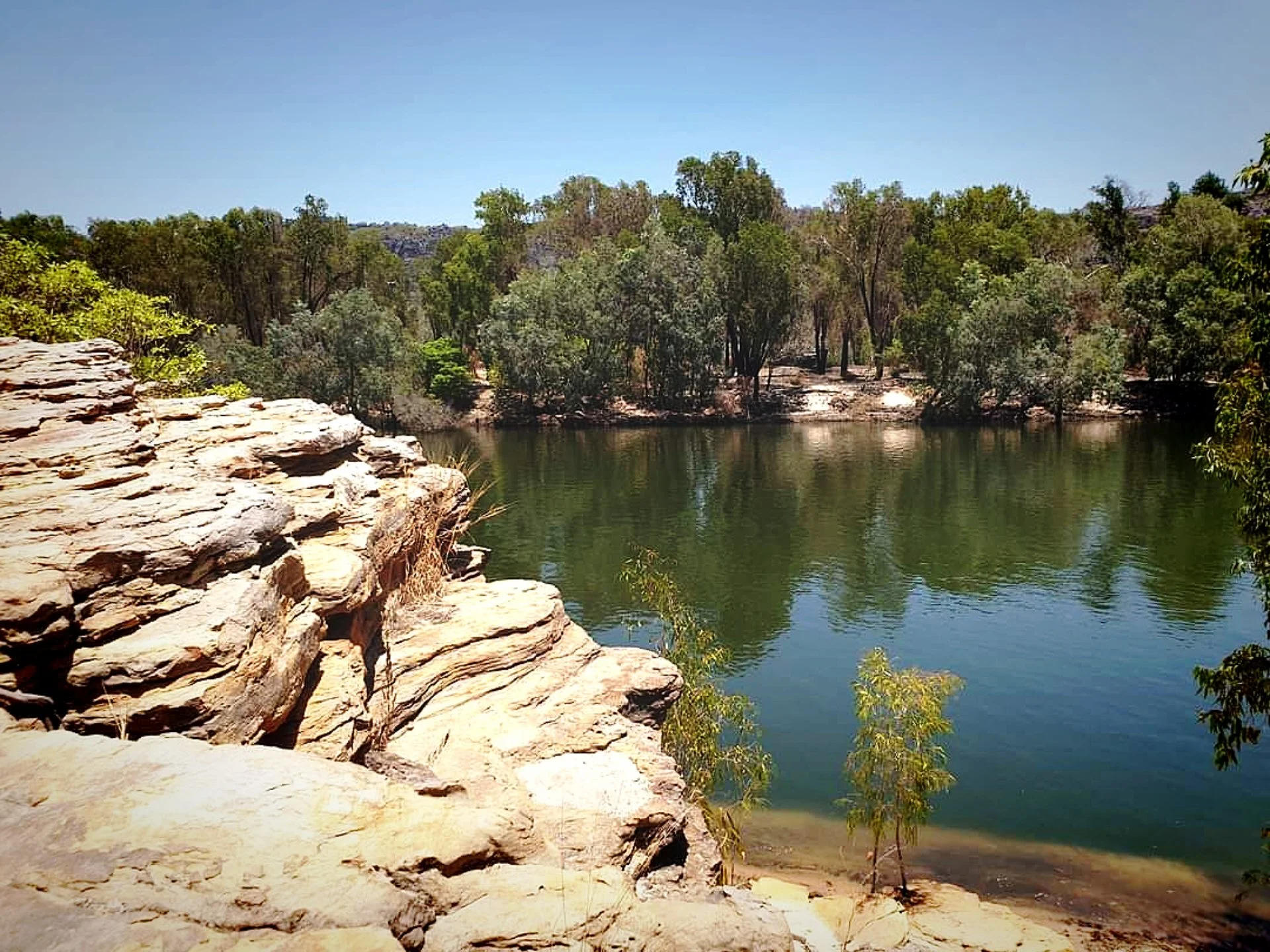 Photo of rocky shoreline beside a calm river with a forested area and clear blue sky in the background.
