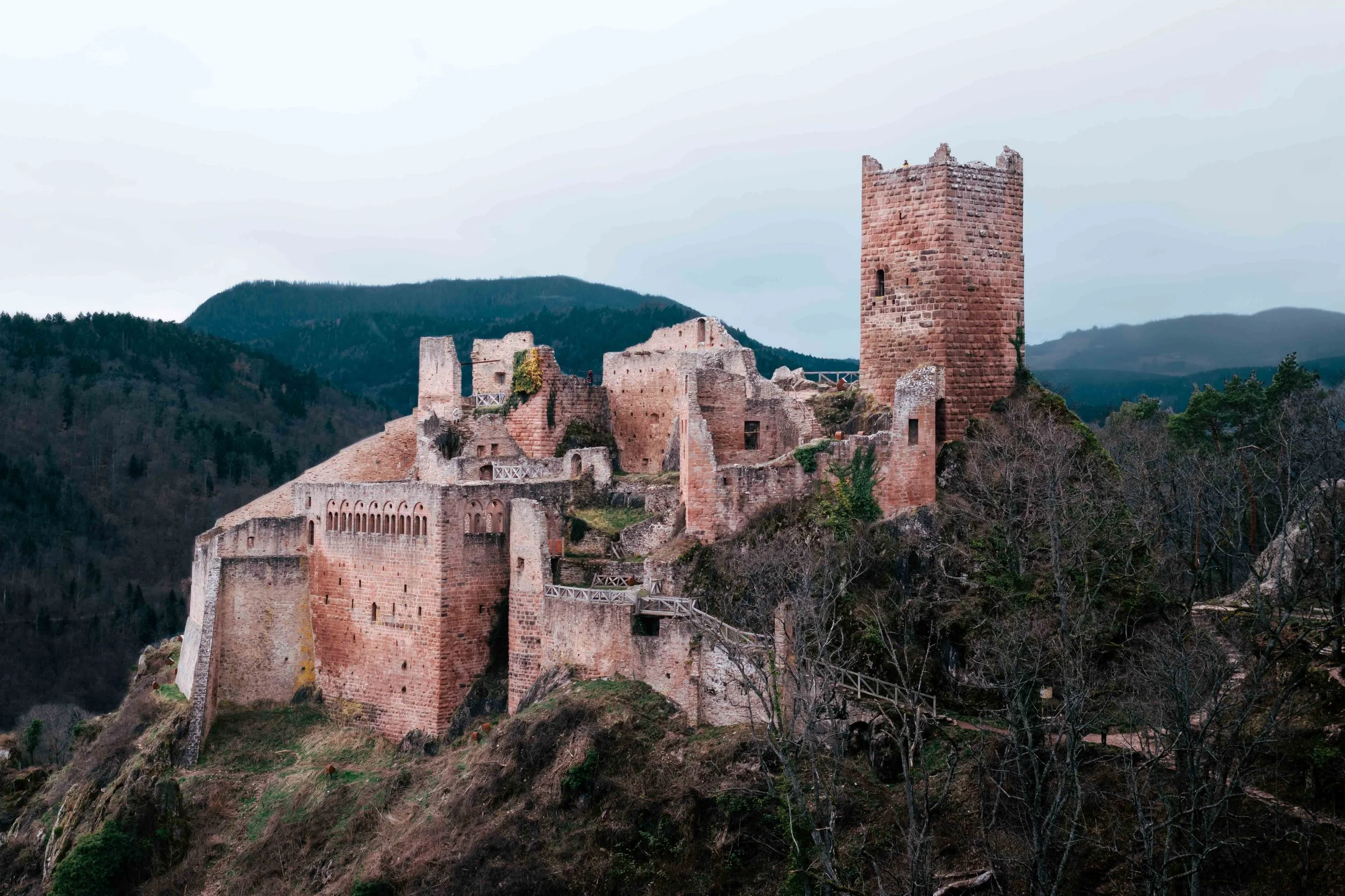 Les trois châteaux, Ribeauvillé, Alsace, France