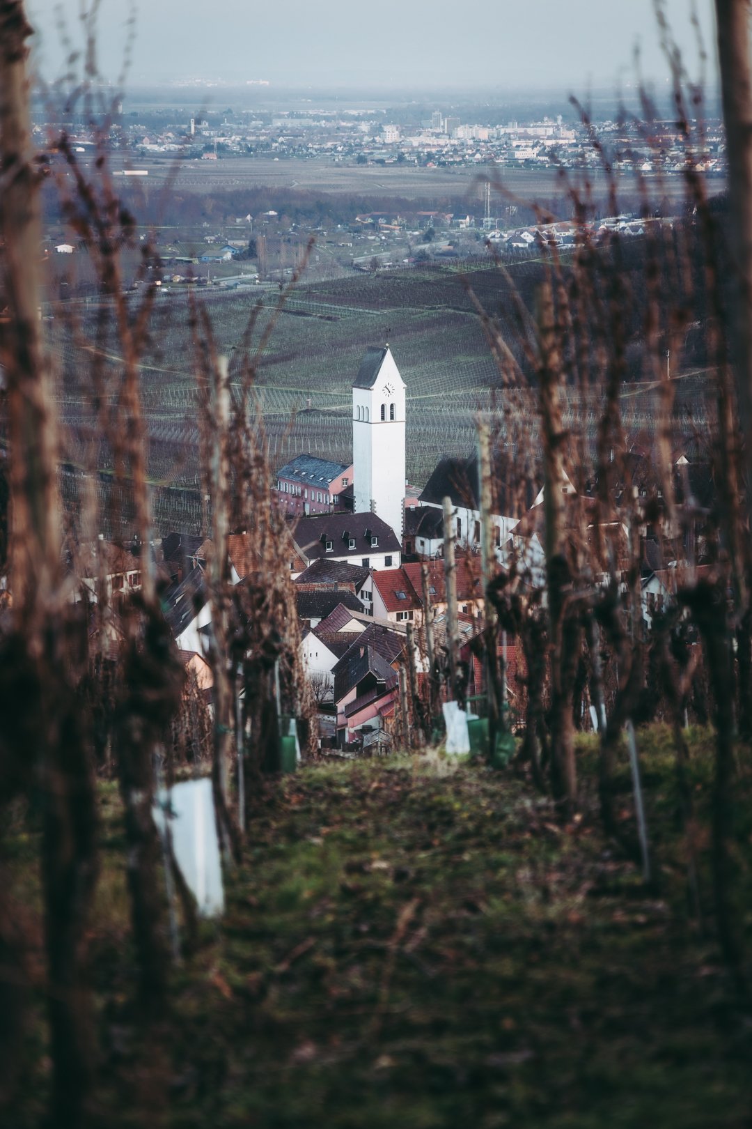 Dorfbach from Wine Castle, Alsace, France
