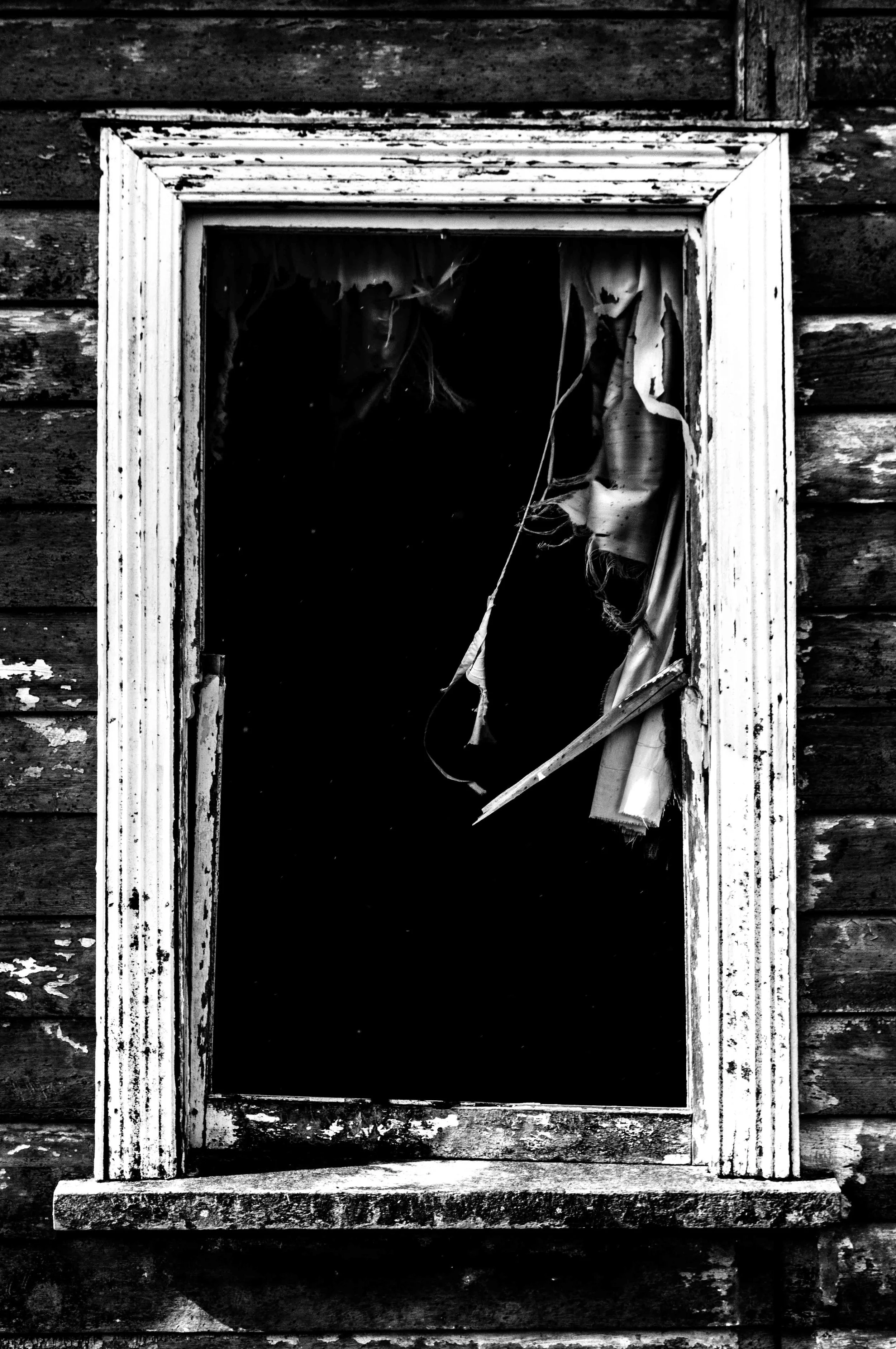 Abandonned house, New Zealand
