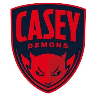 casey.jpeg