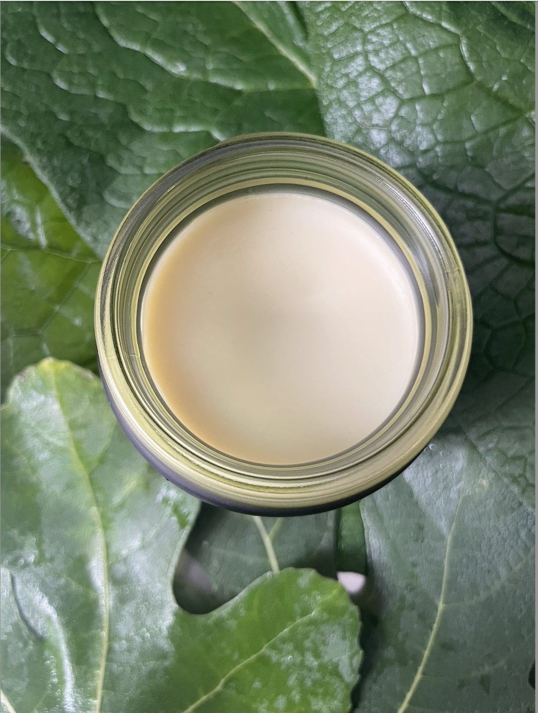 Organic Herbal Healing Balm 1 oz