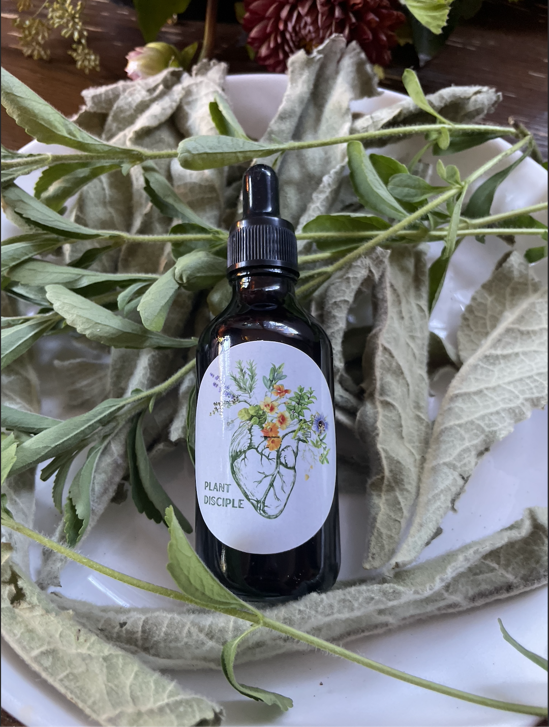 Mullein & Stevia Tincture