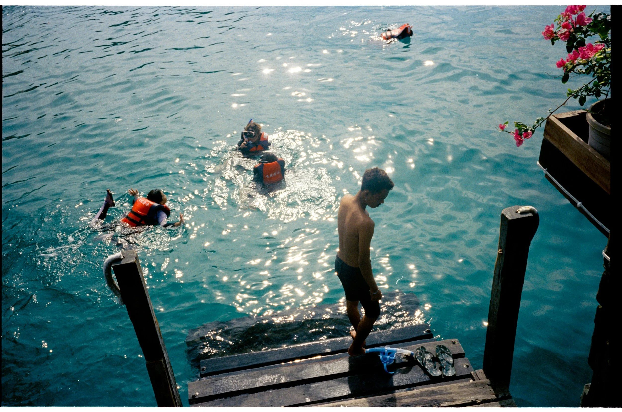 People in life jackets swimming in water near a wooden dock, with a shirtless man standing on the dock and pink flowers on the right side of the image.