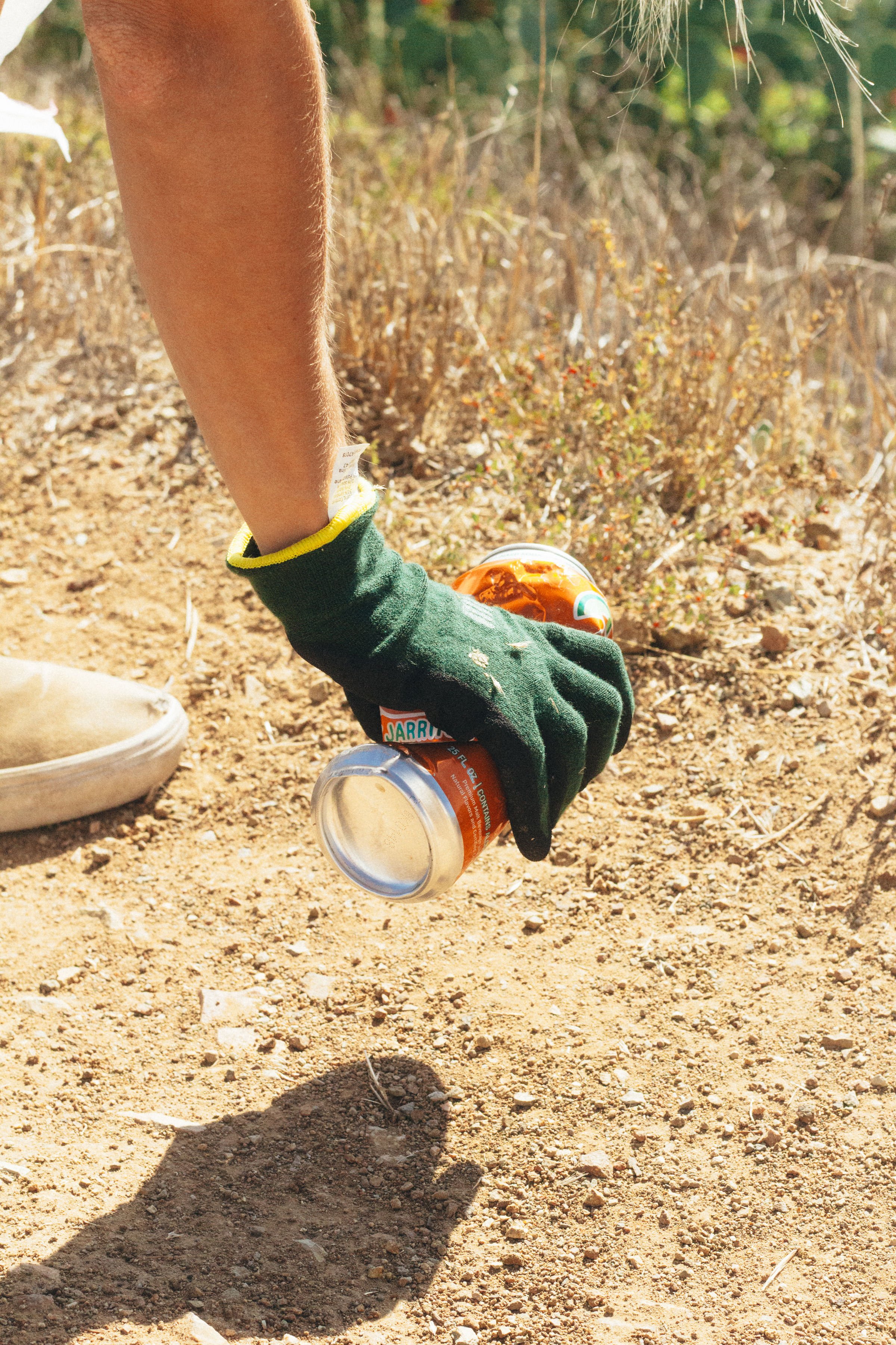 Catalina Community Cleanup