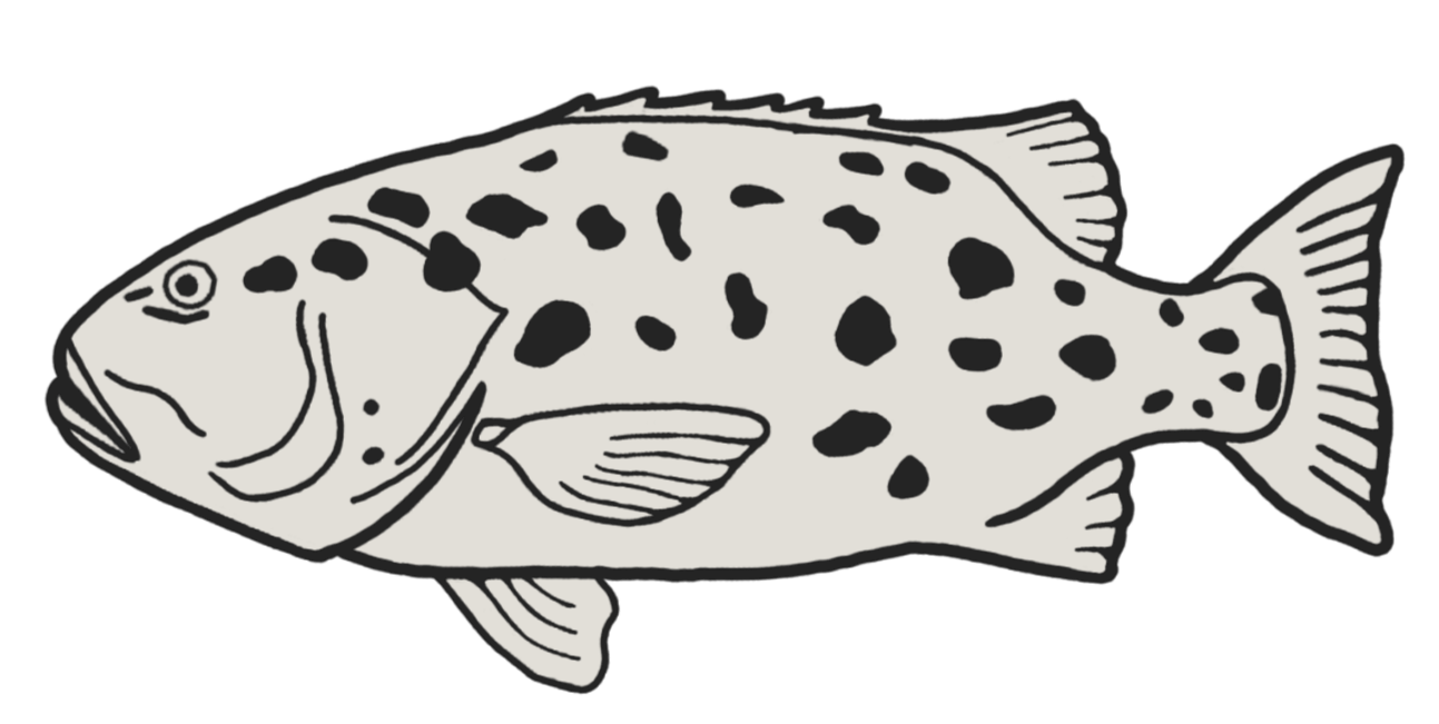 Black and white illustration of a fish with spots.
