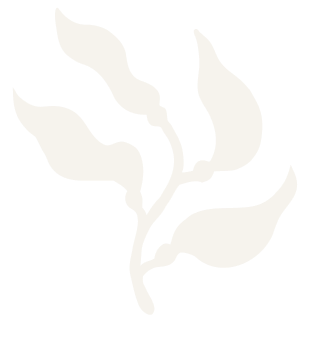 Silhouette of a stylized plant or leaf in black and white.