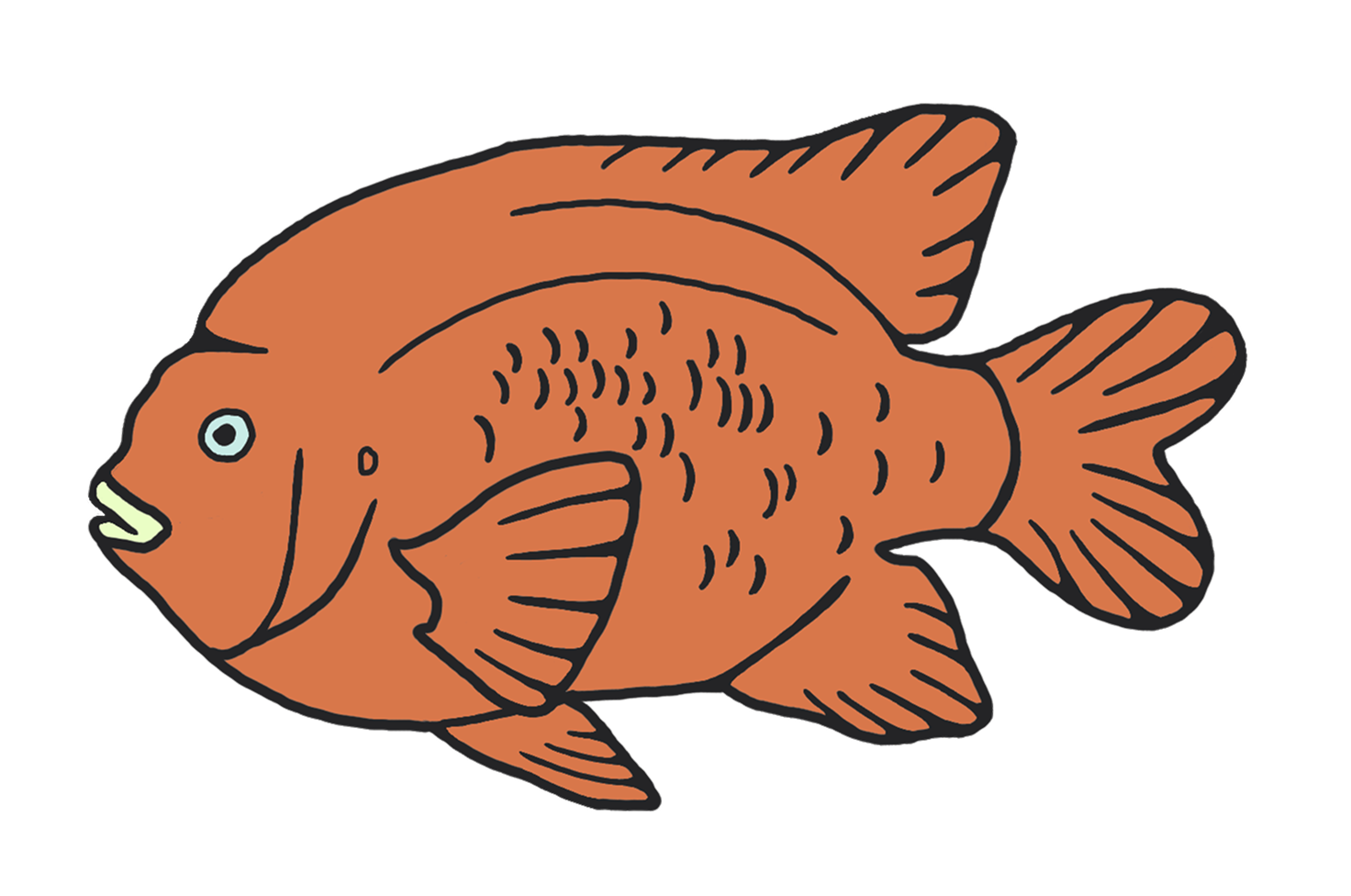 A drawing of an orange fish with black outlines, fins, and tail, and a pale blue eye.