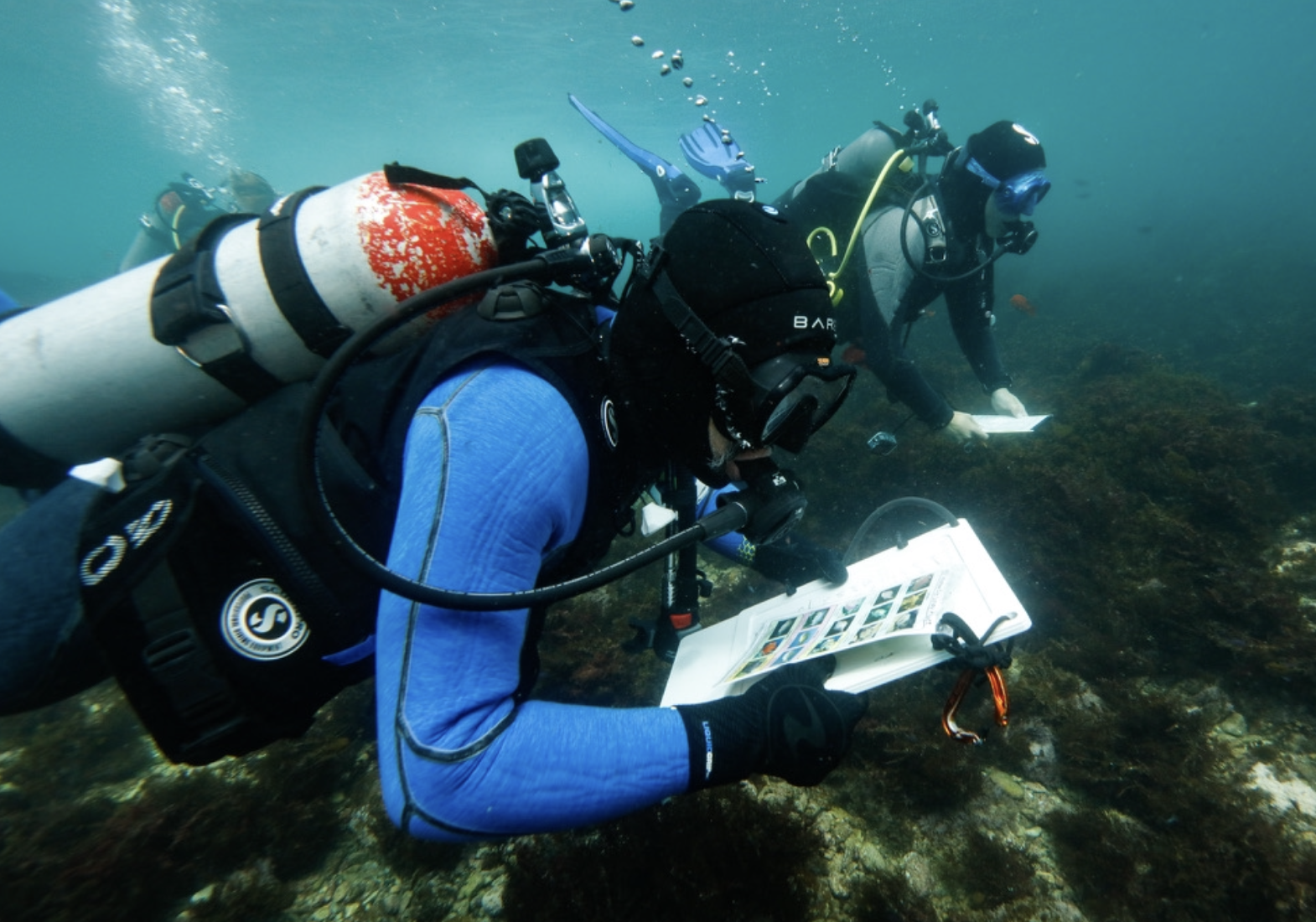Two scuba divers underwater viewing and examining a catalog or guidebook while surrounded by marine environment.
